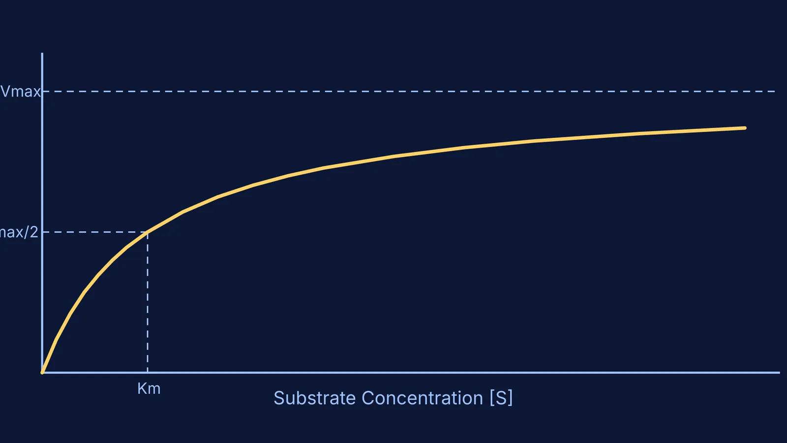 Graph showing enzyme reaction rate levelling off at Vmax as substrate concentration increases