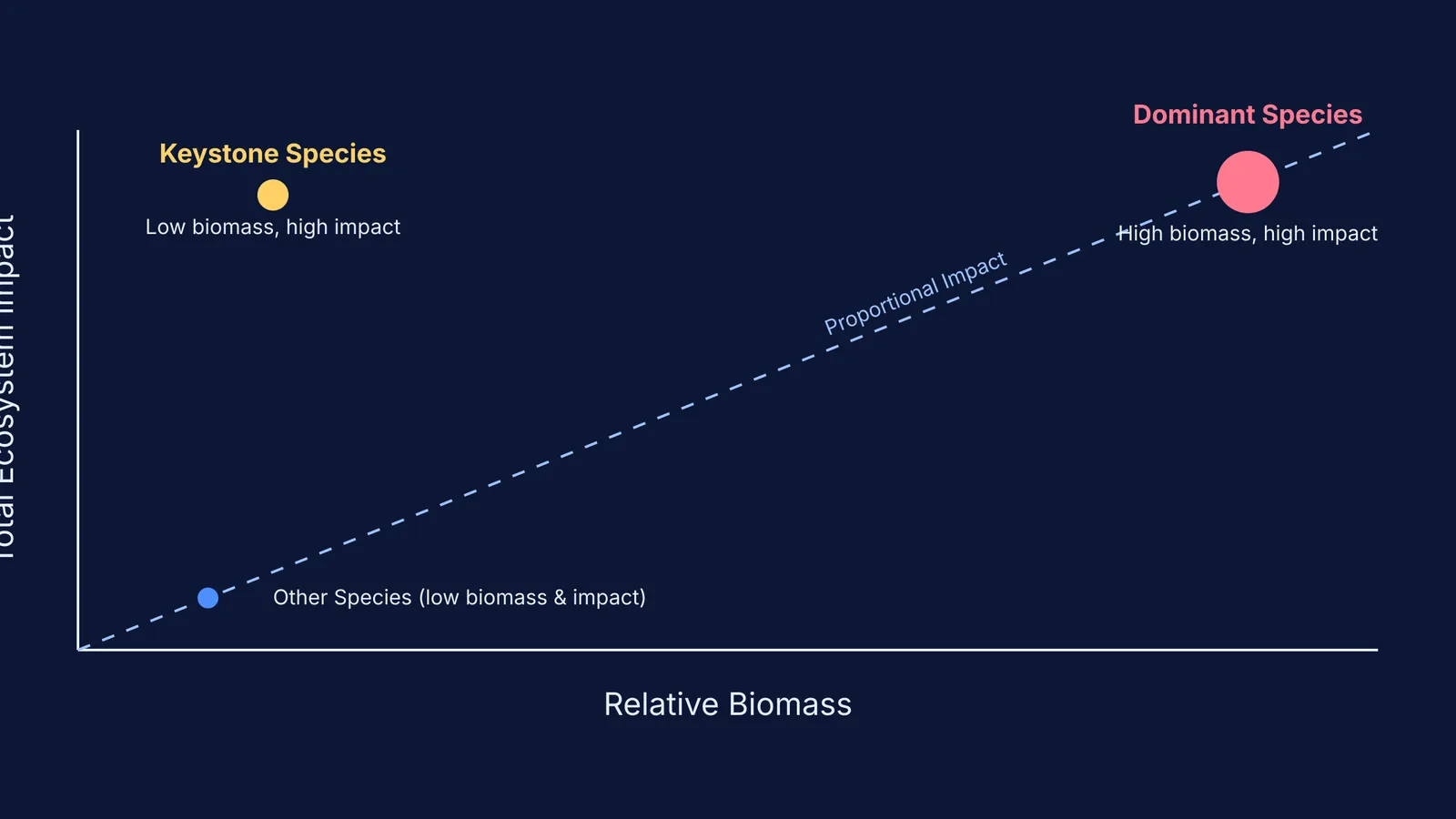 Graph showing keystone species with low biomass but high ecosystem impact compared to dominant species