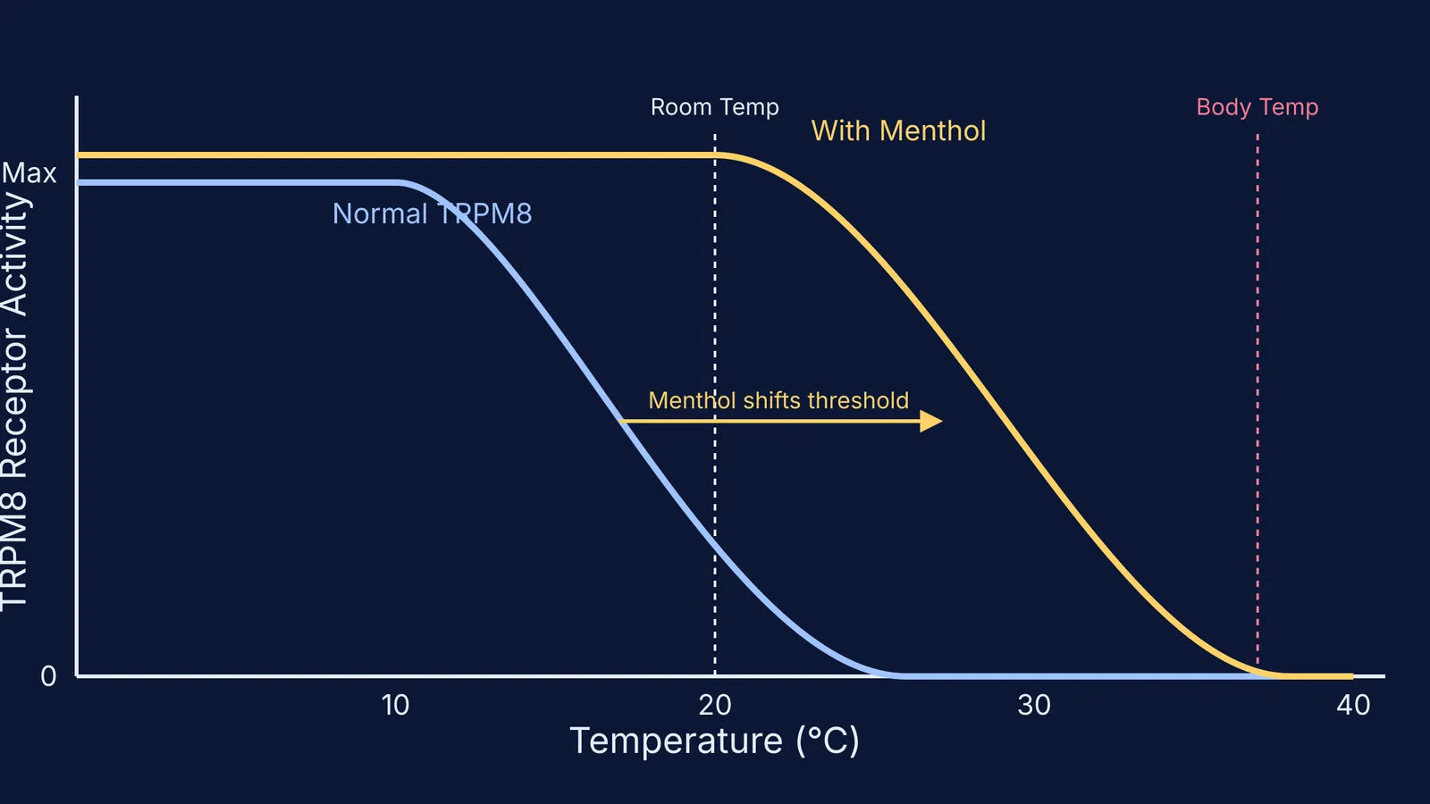 Graph showing menthol shifting TRPM8 activation to higher temperatures