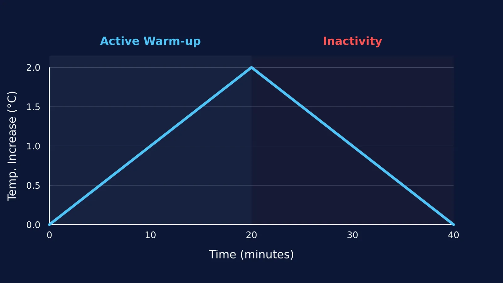 Graph showing muscle temperature rising during a 20-minute warm-up and falling during inactivity.