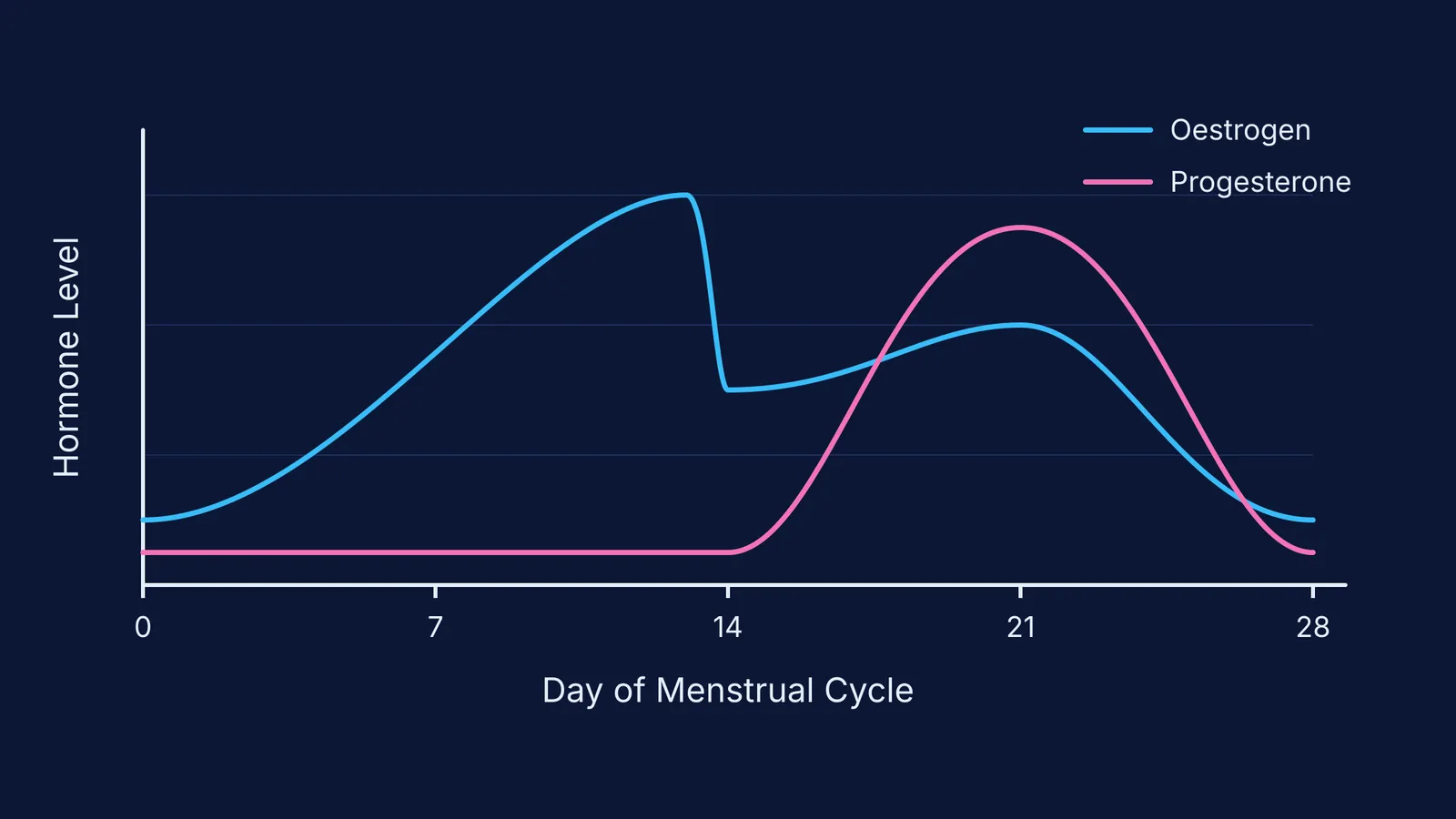 Graph showing oestrogen and progesterone levels over a 28-day menstrual cycle