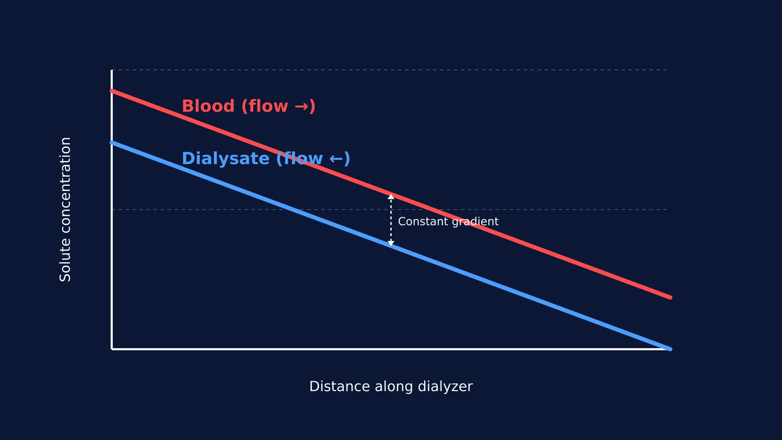 Graph showing parallel blood and dialysate concentration gradients.