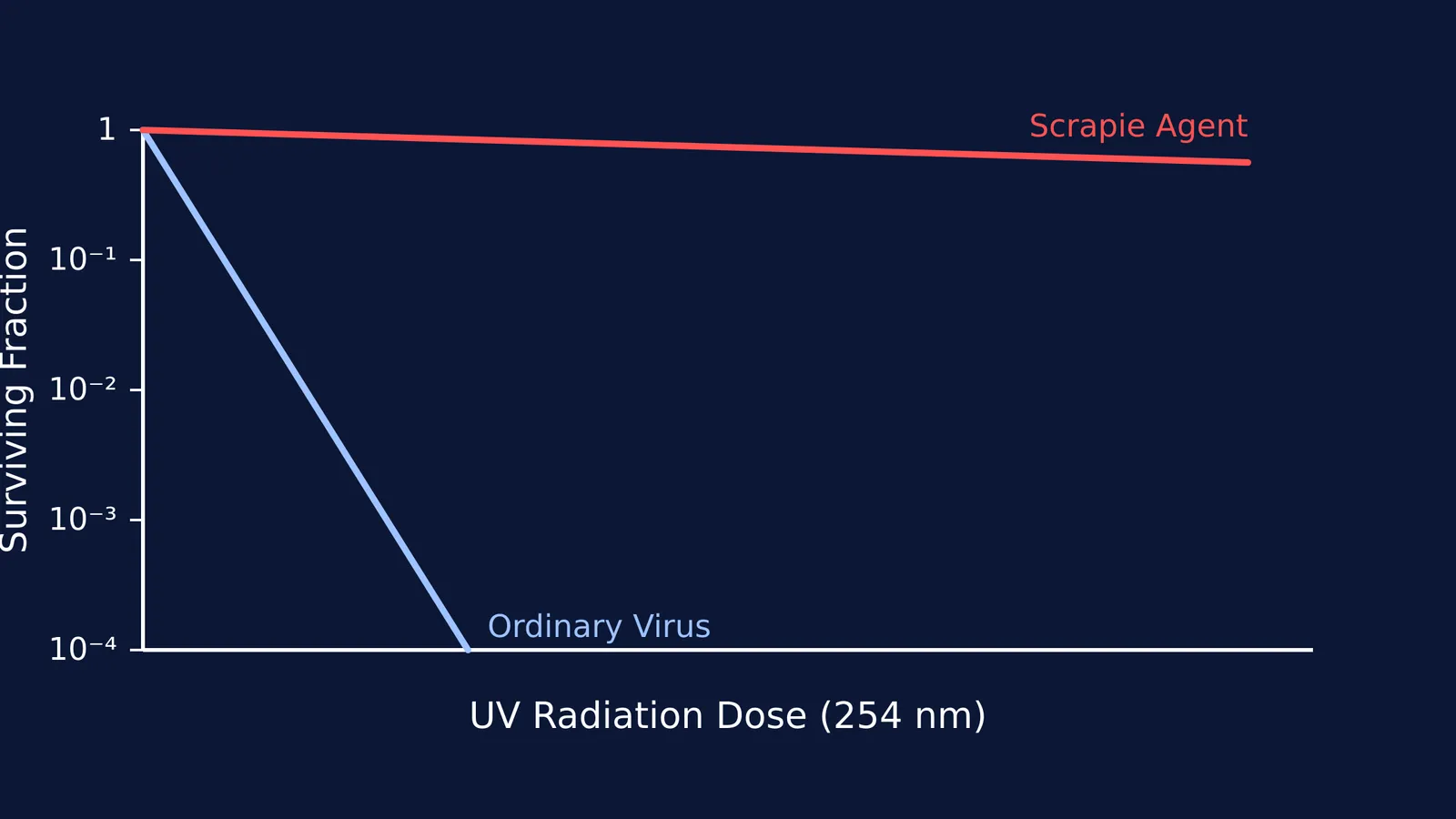 Graph showing the scrapie agent resisting UV radiation while typical viruses are destroyed.