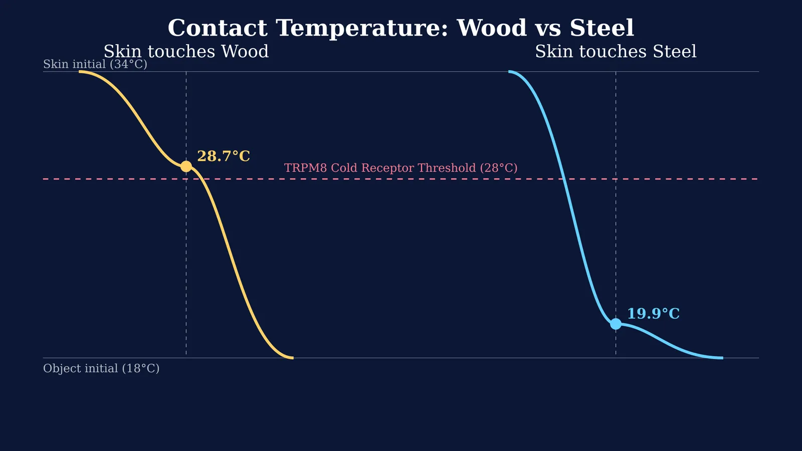 Graph showing the temperature gradient when 34°C skin touches 18°C wood and steel.