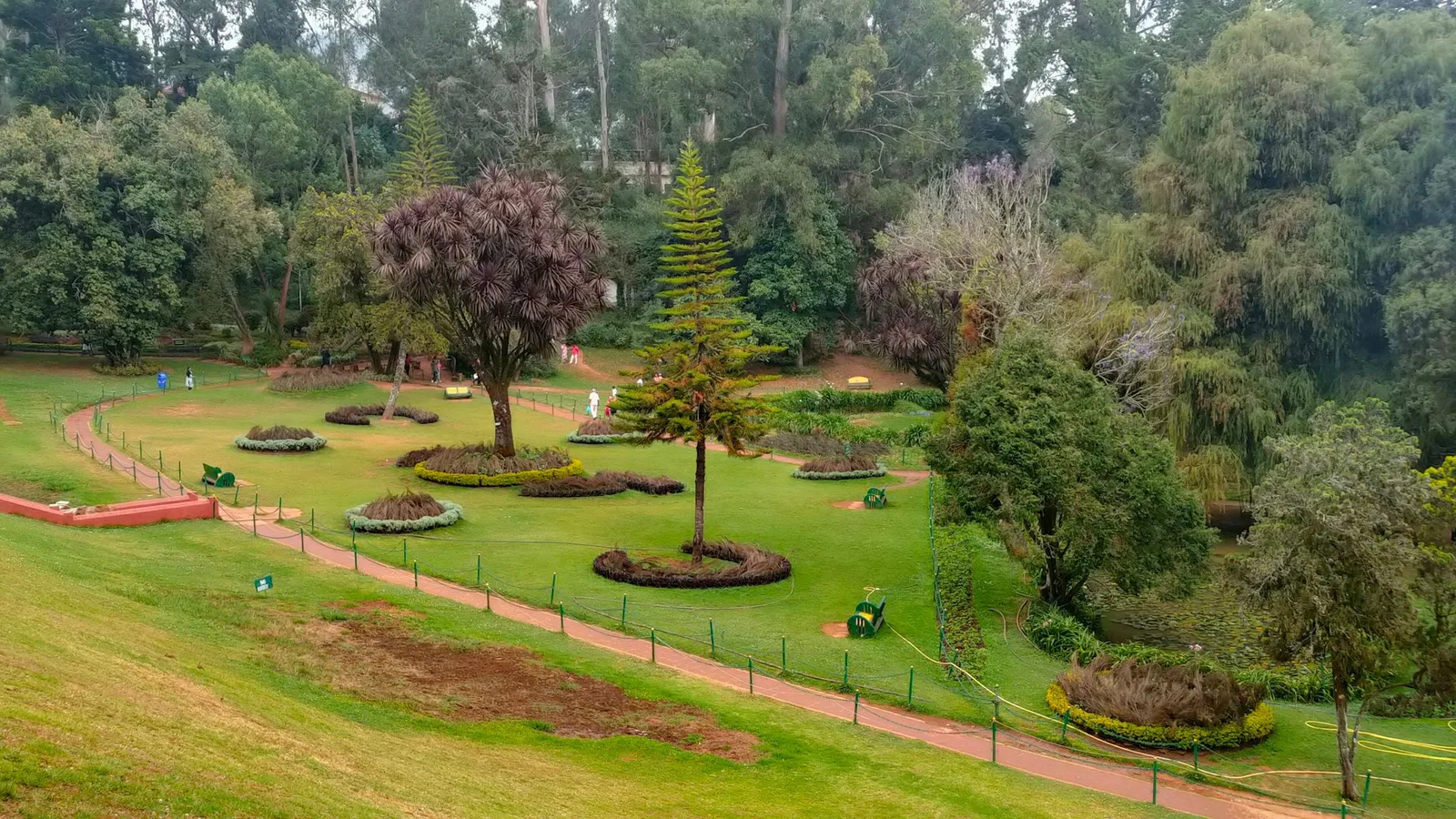 Green lawns and trees in a hillside botanical garden
