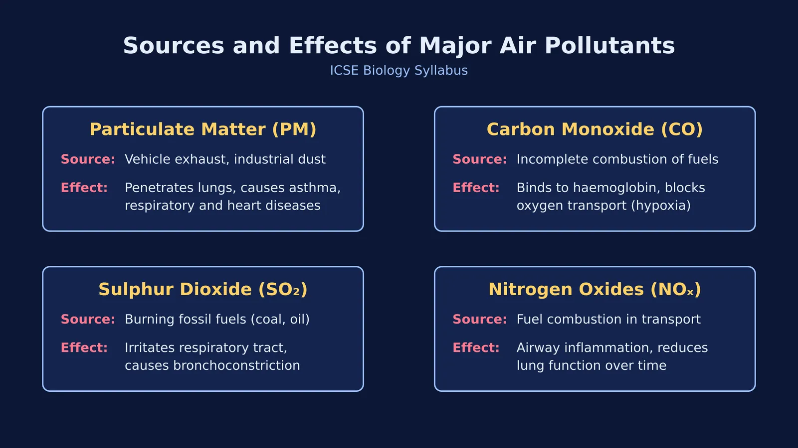 Grid diagram showing Particulate Matter, Carbon Monoxide, Sulphur Dioxide, and Nitrogen Oxides with their sources and effects.