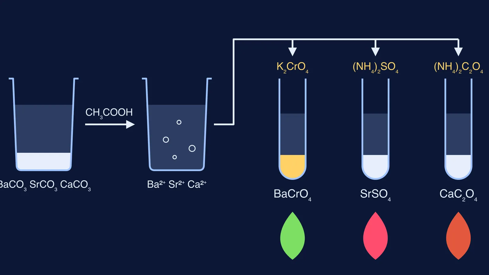Group 5 carbonates dissolved in acetic acid, split into three test tubes with different precipitates