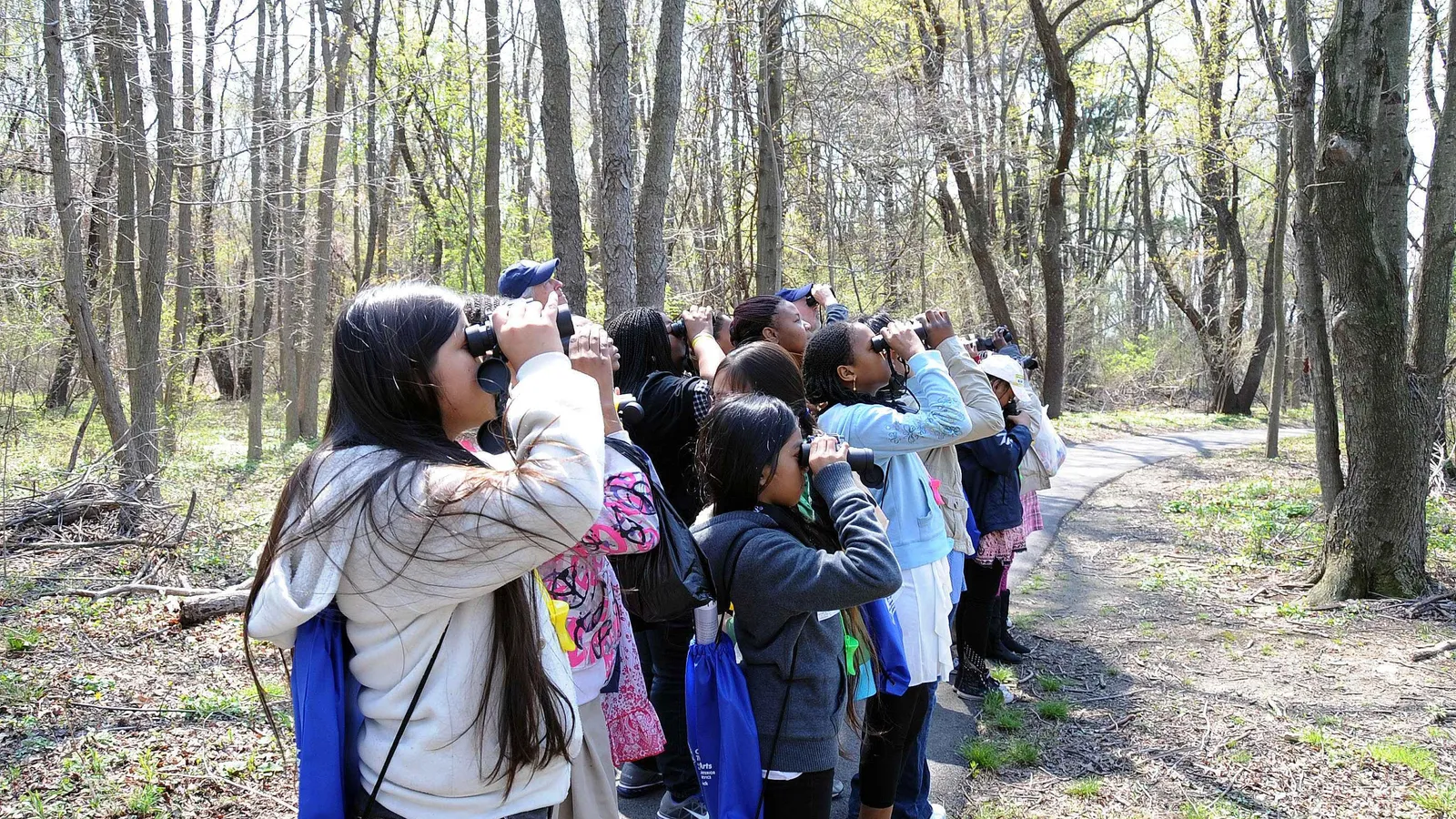 Group of children and adults on a woodland path looking up through binoculars