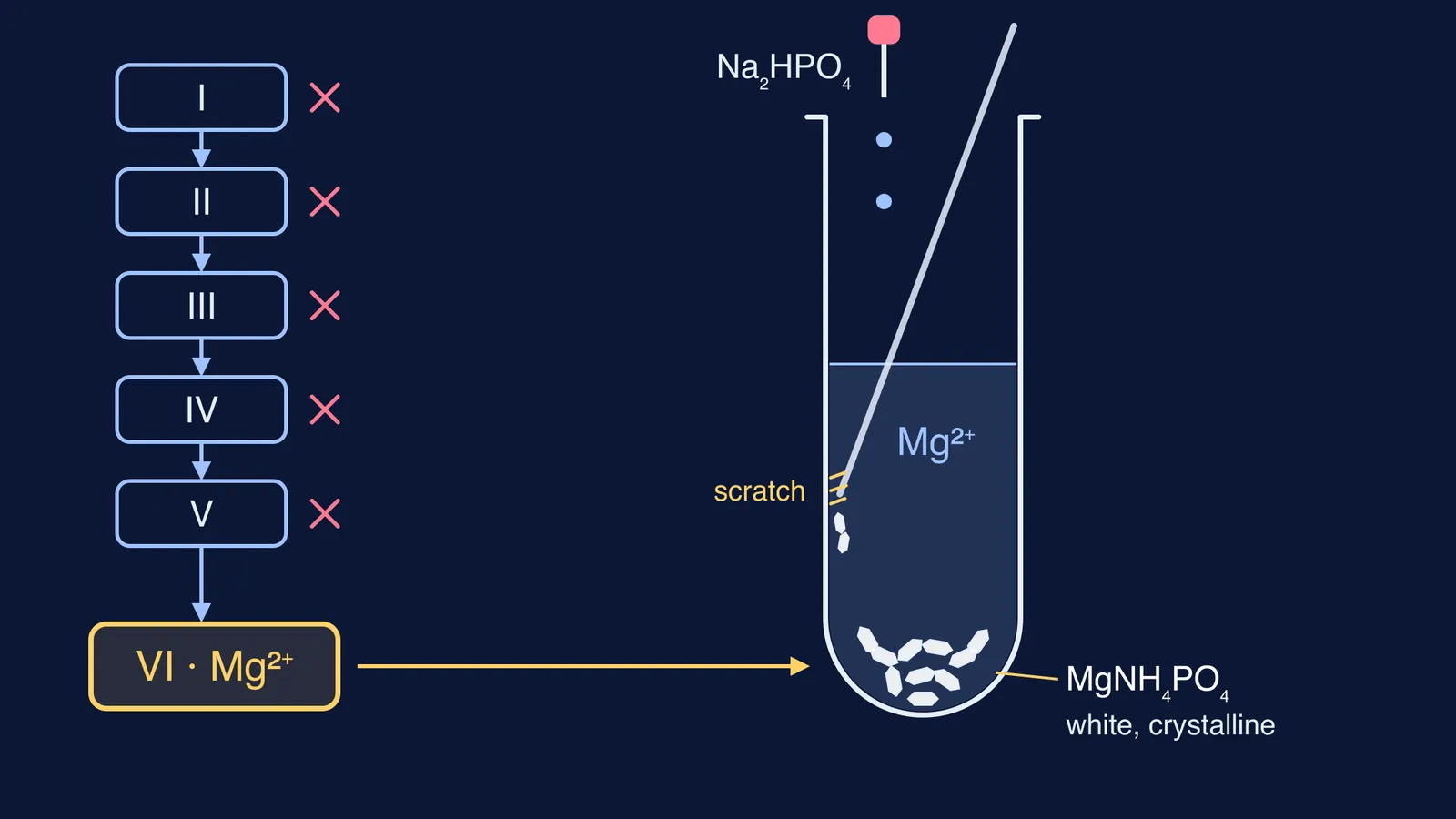 Groups I to V ruled out, then magnesium ammonium phosphate crystals in a test tube