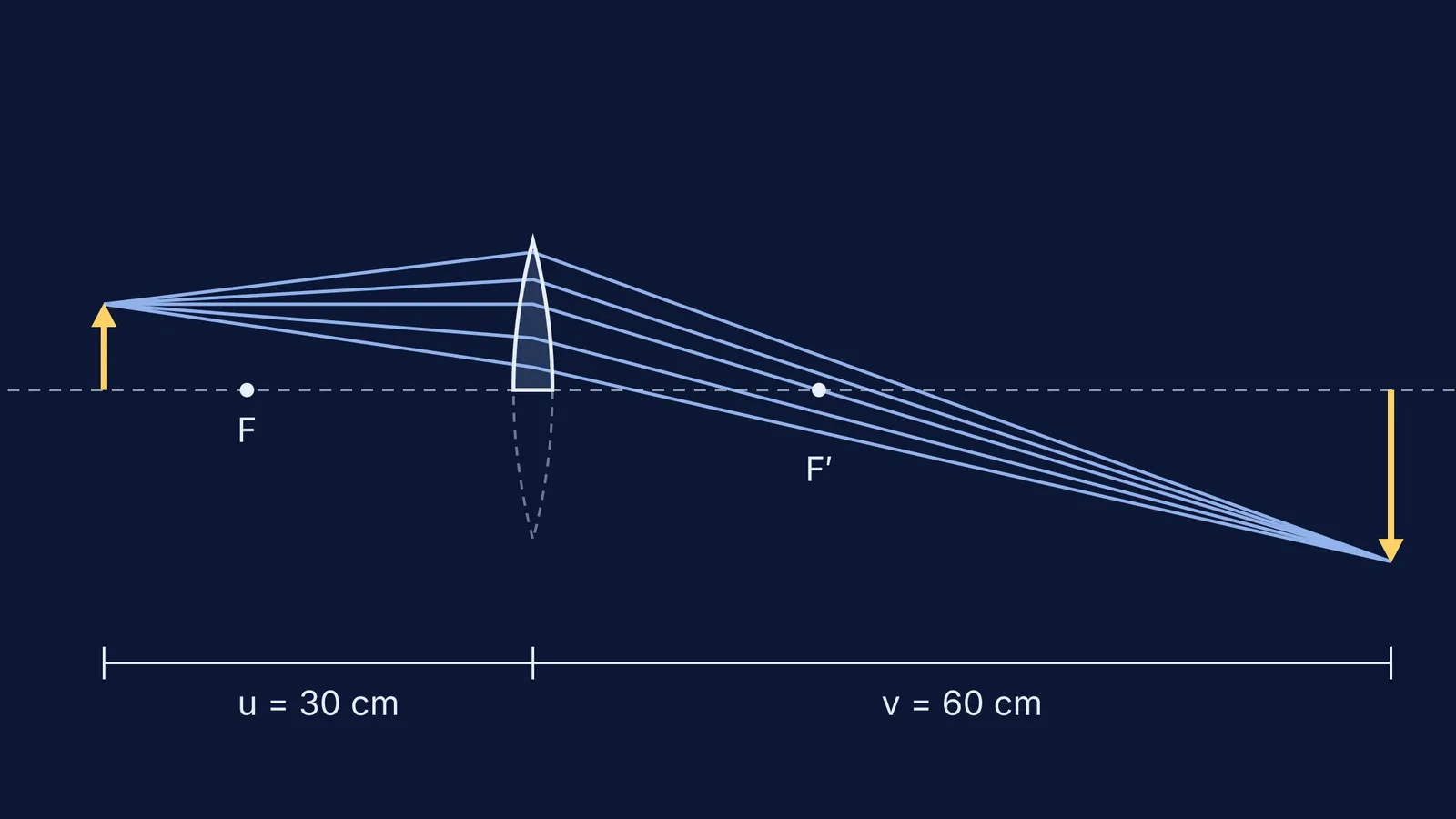 Half convex lens cut along its axis still focusing rays into a full image