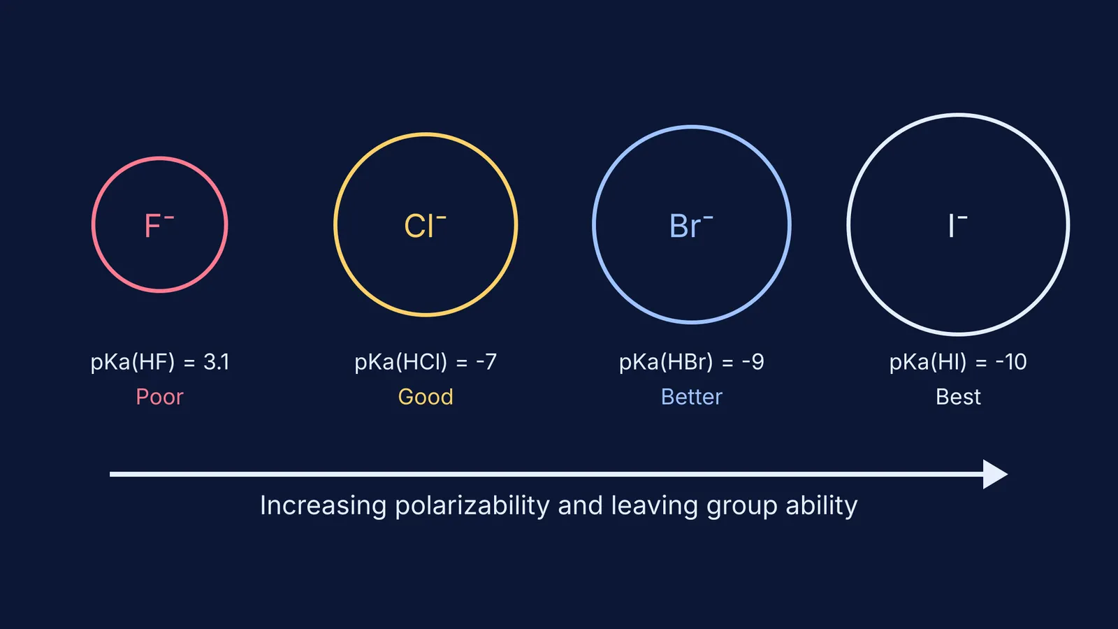 Halogen ions F, Cl, Br, and I increasing in size and leaving group ability