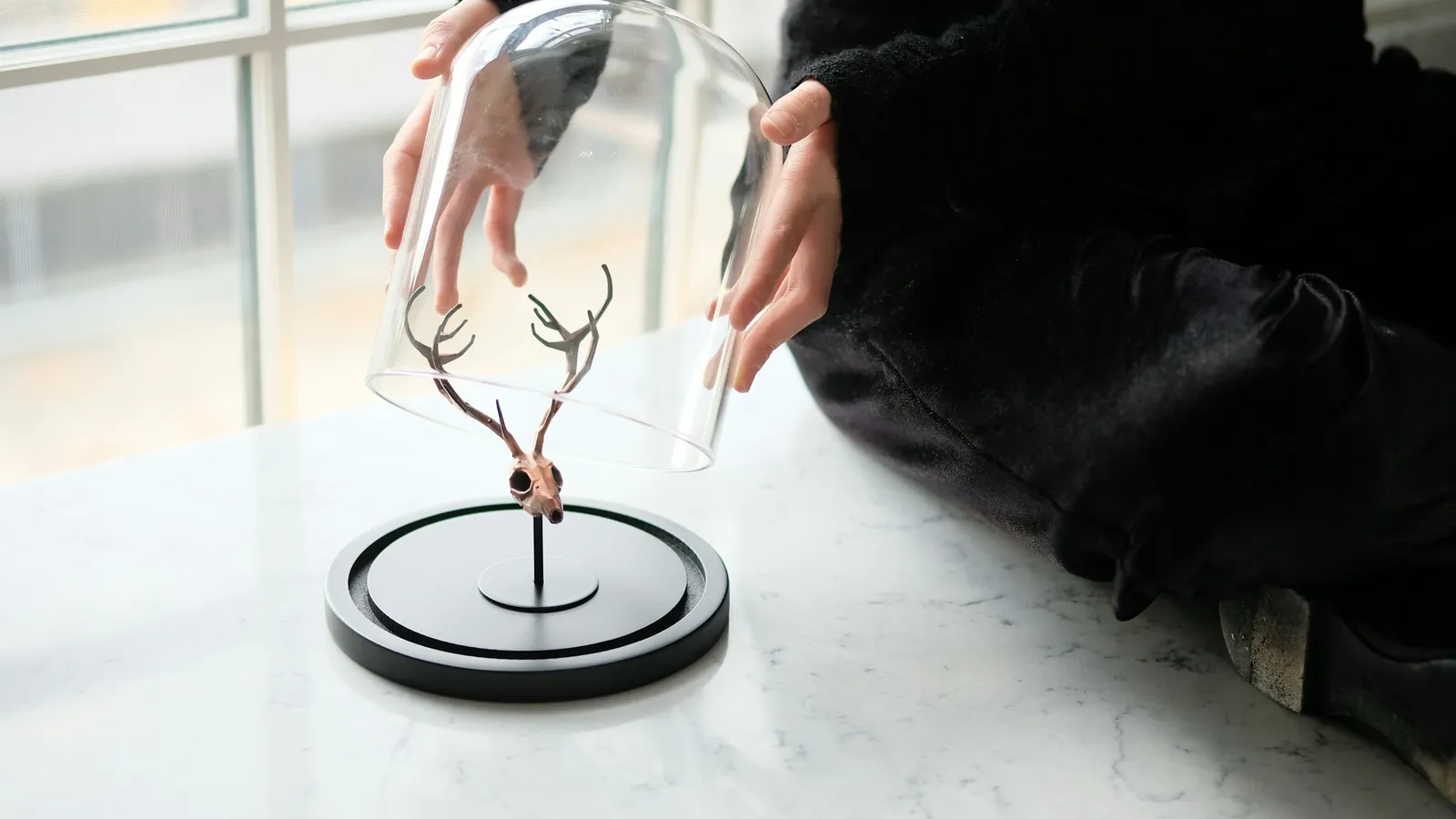 Hands lifting a glass bell jar on a white table