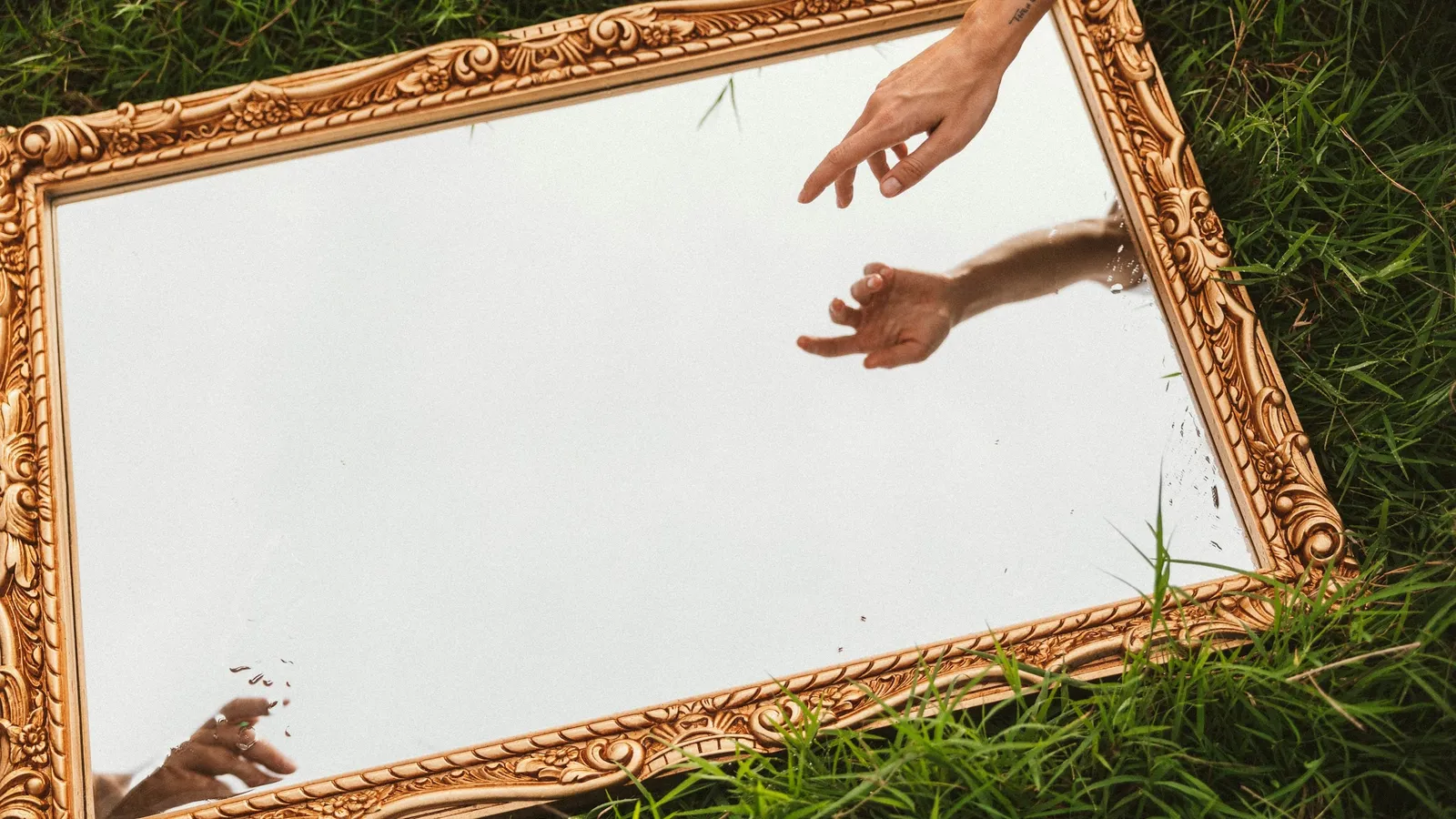 Hands reflected in a mirror lying on grass