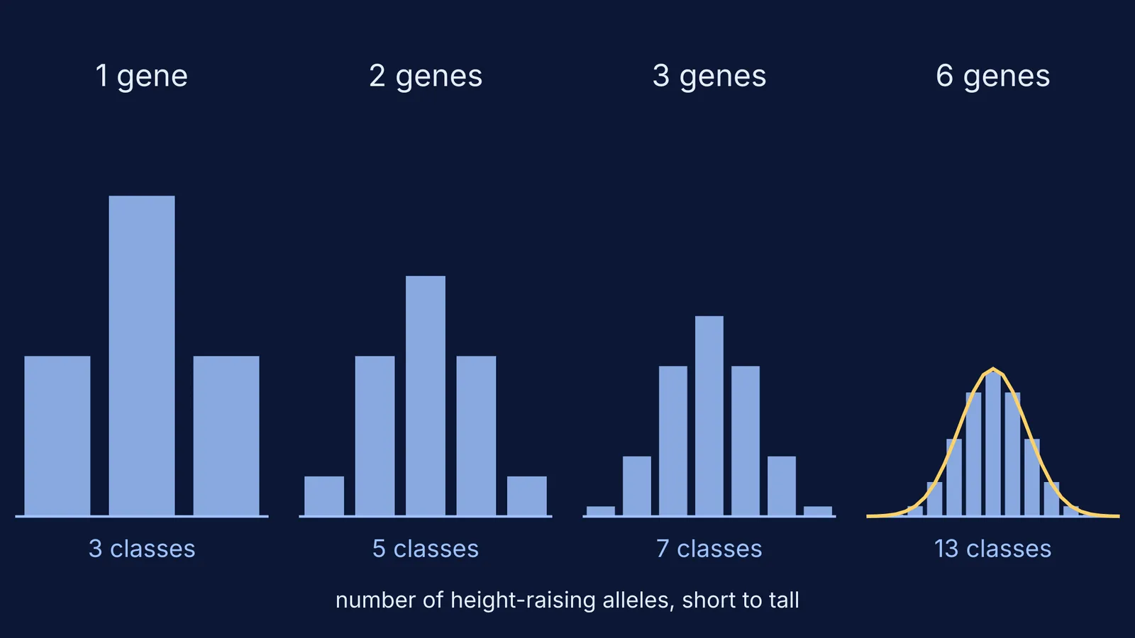 Histograms for 1, 2, 3 and 6 genes approaching a bell curve