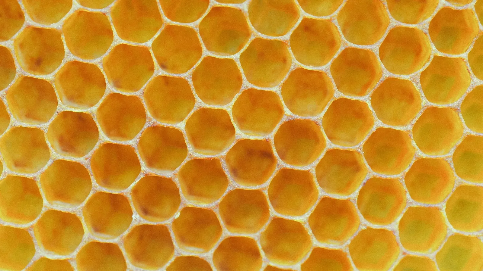 Honeycomb with neat hexagonal cells