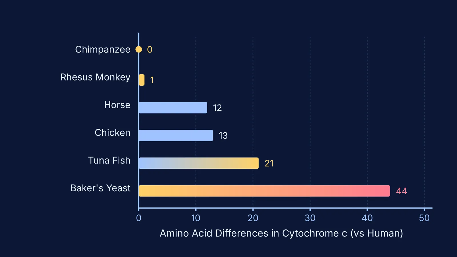 Horizontal bar chart of cytochrome c amino acid substitutions relative to humans across species