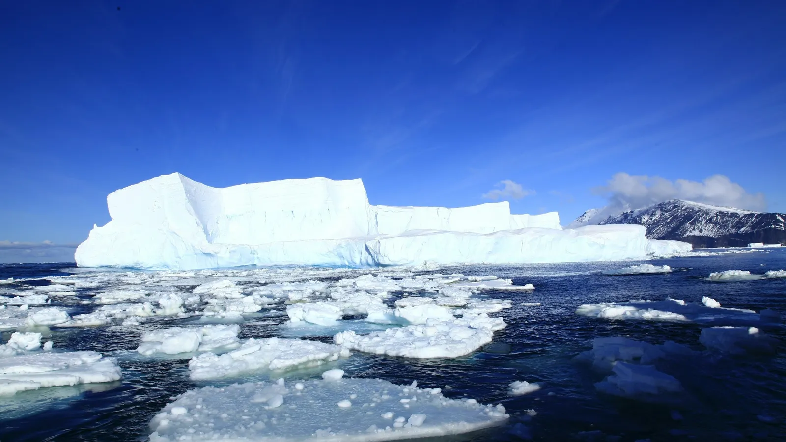 Ice floes and a small iceberg in dark blue water