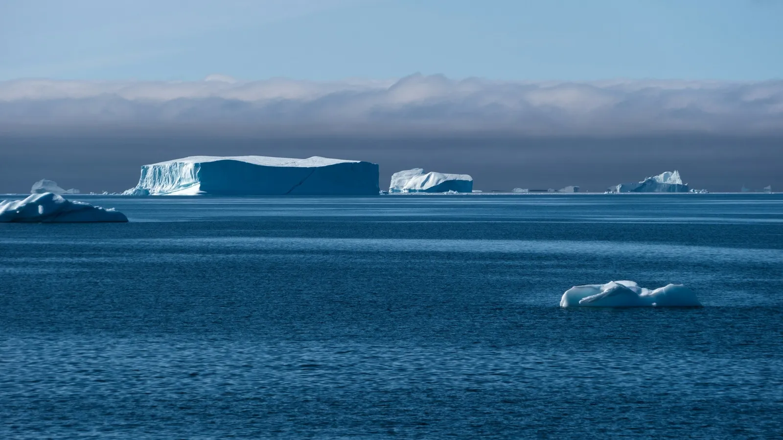 Icebergs drifting on a deep blue ocean