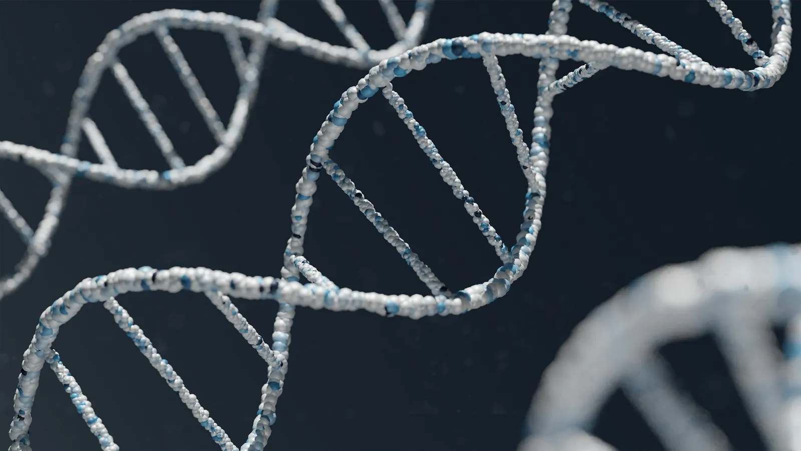 Illustration of DNA double helices against a dark blue background