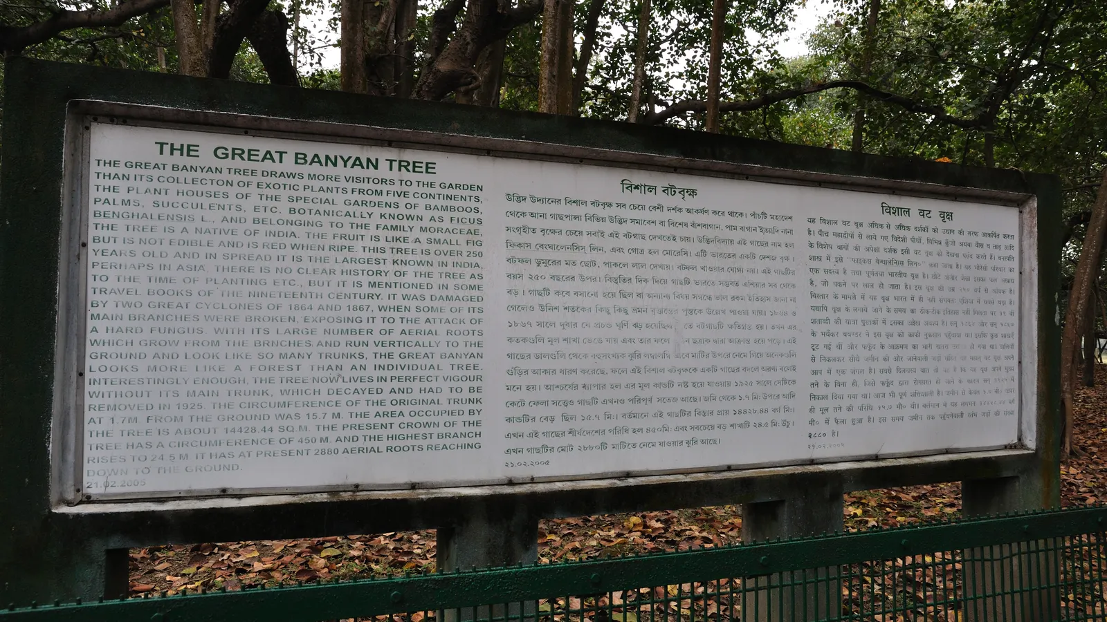 Information sign in English, Bengali and Hindi for the Great Banyan Tree at Howrah's botanic garden