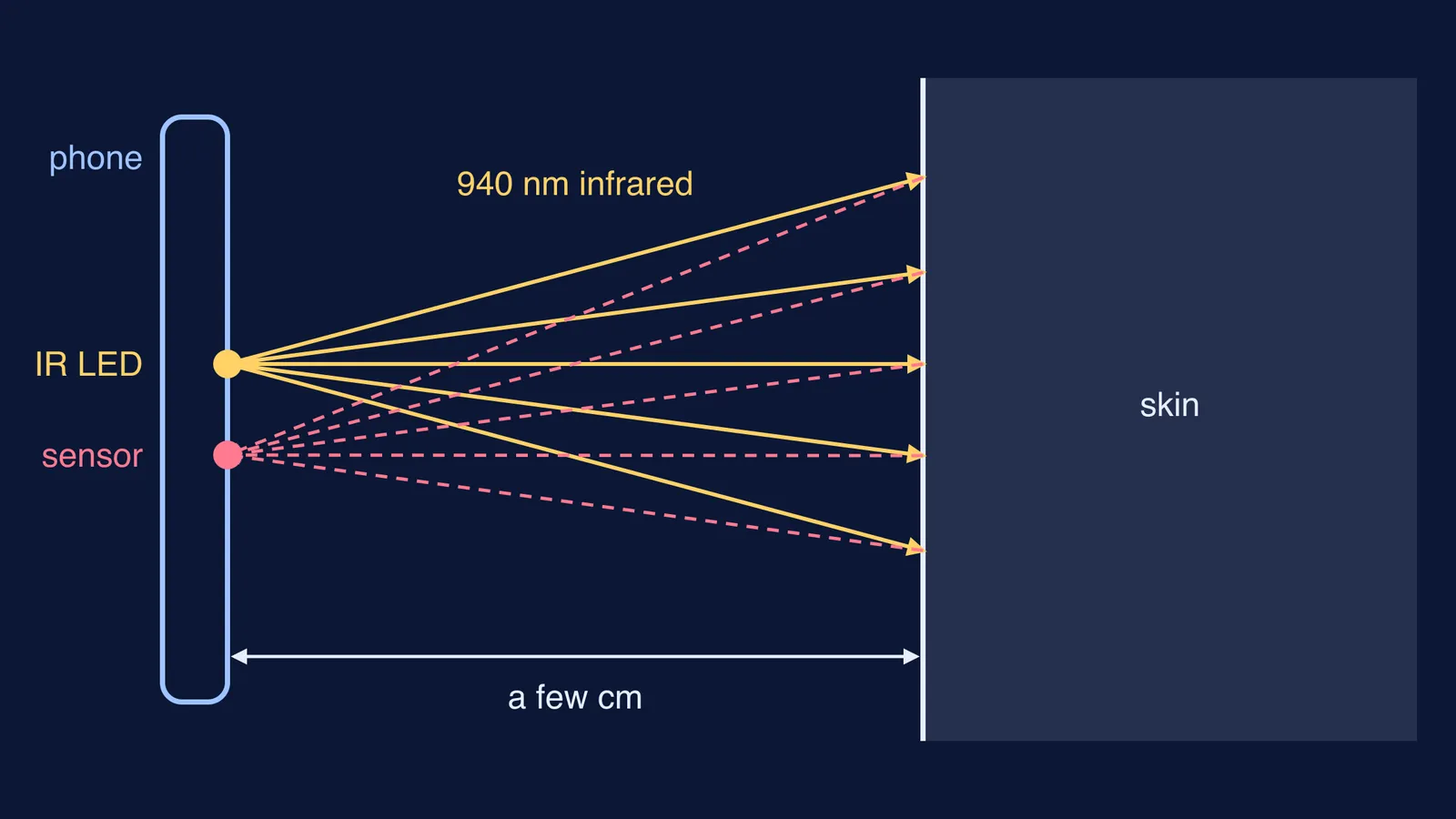 Infrared rays from a phone's LED scattering off skin back to its sensor