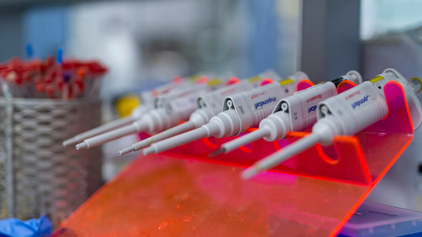 Laboratory pipettes resting in a rack above a red tray