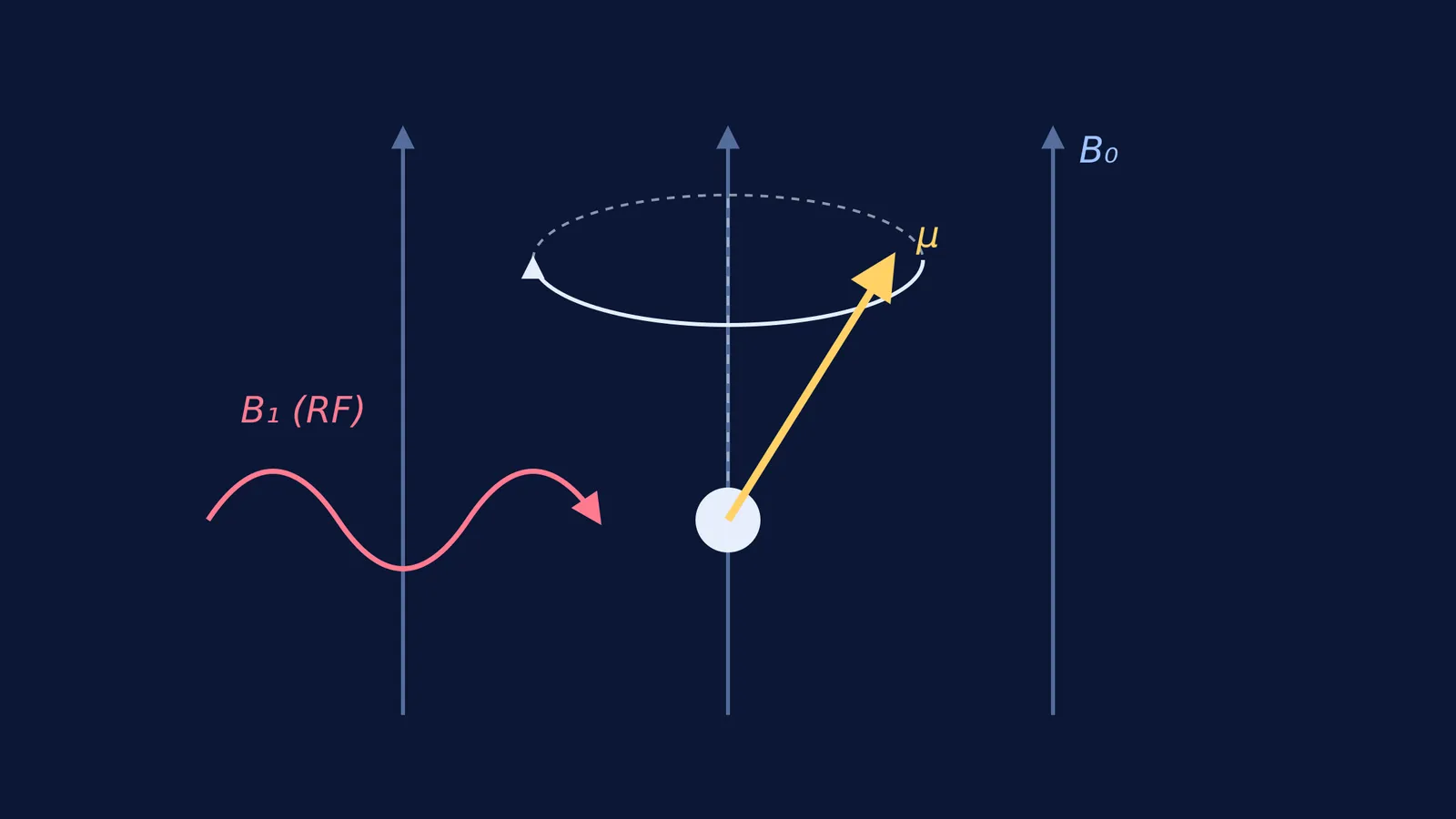 Larmor precession of a nuclear spin in a magnetic field driven by an RF wave