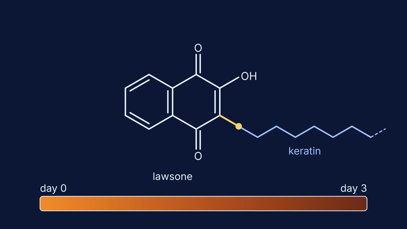 Lawsone molecule bonded to a keratin chain above an orange-to-brown colour bar