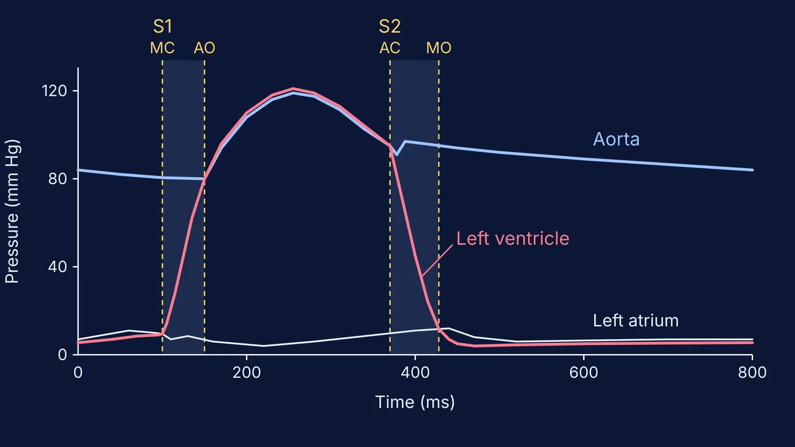 Left heart pressure graph over one heartbeat with valve events marked