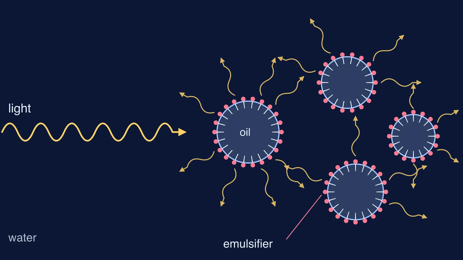 Light wave scattering off emulsifier-coated oil droplets suspended in water