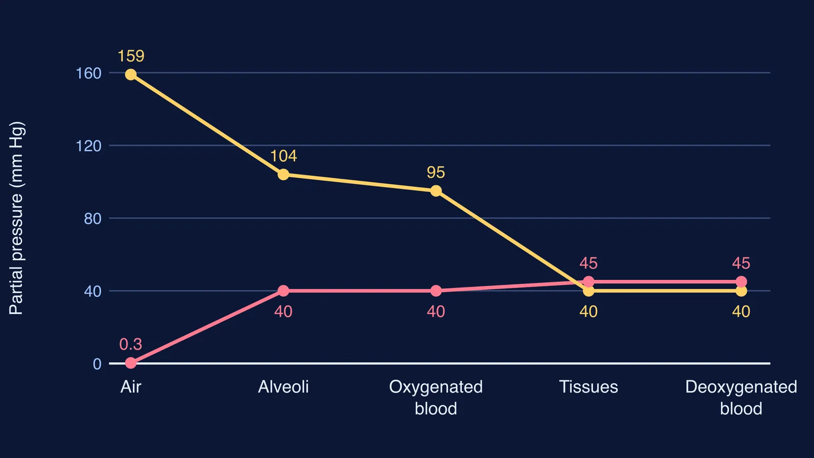 Line chart of oxygen and carbon dioxide partial pressures from air through tissues to blood