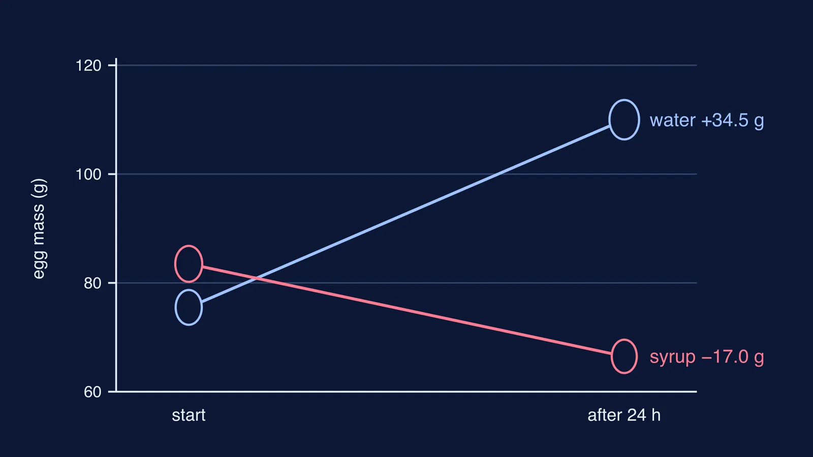 Line chart: shell-less egg mass rises in water and falls in syrup