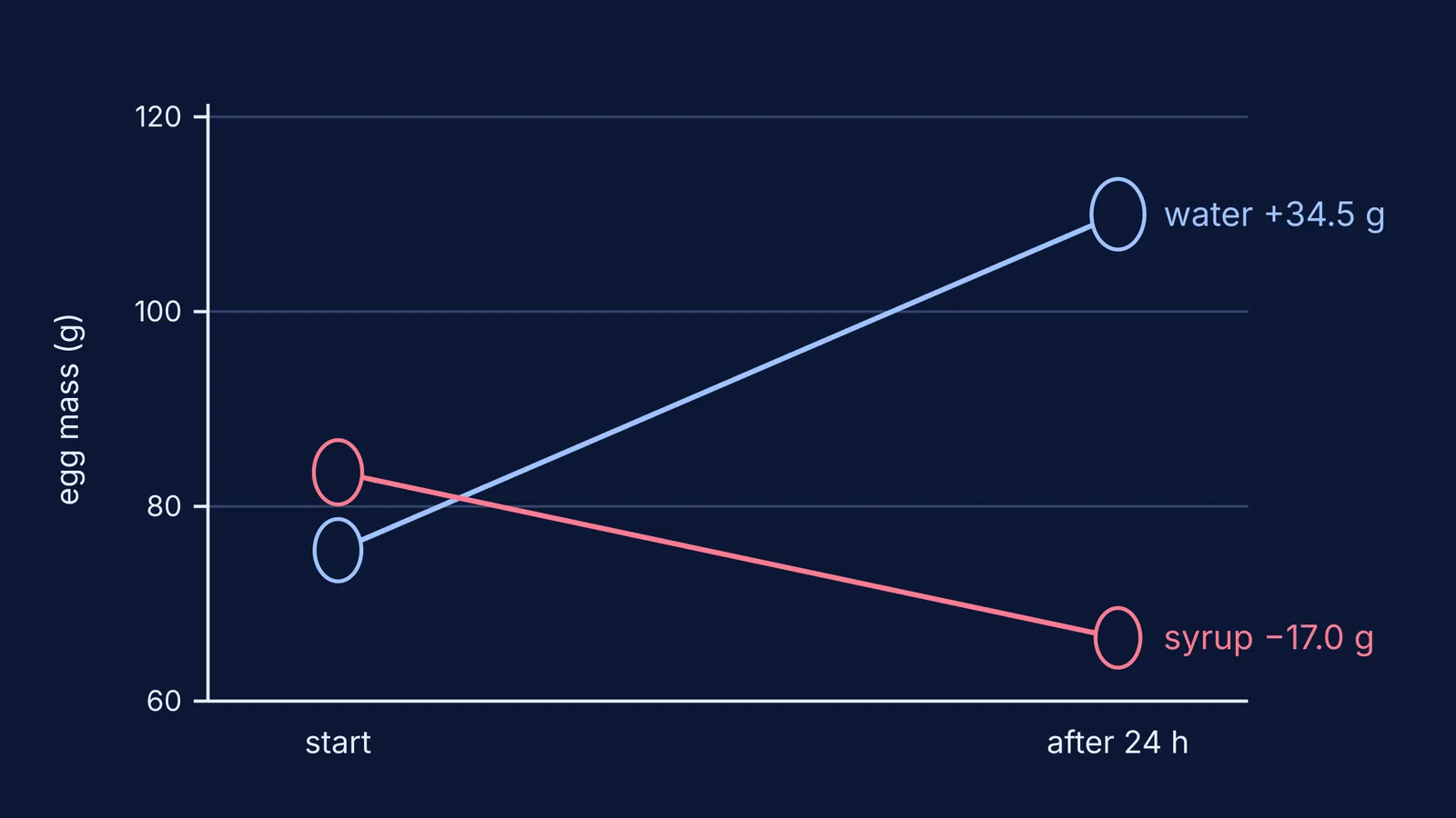 Line chart: shell-less egg mass rises in water and falls in syrup
