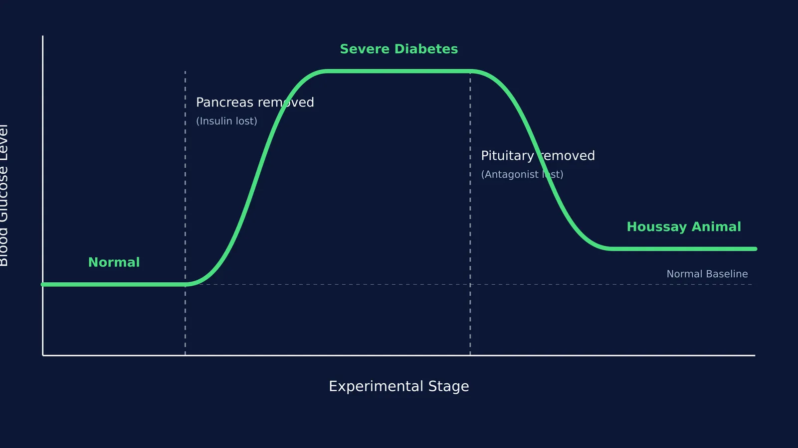Line graph showing blood glucose spiking after pancreas removal and dropping after pituitary removal