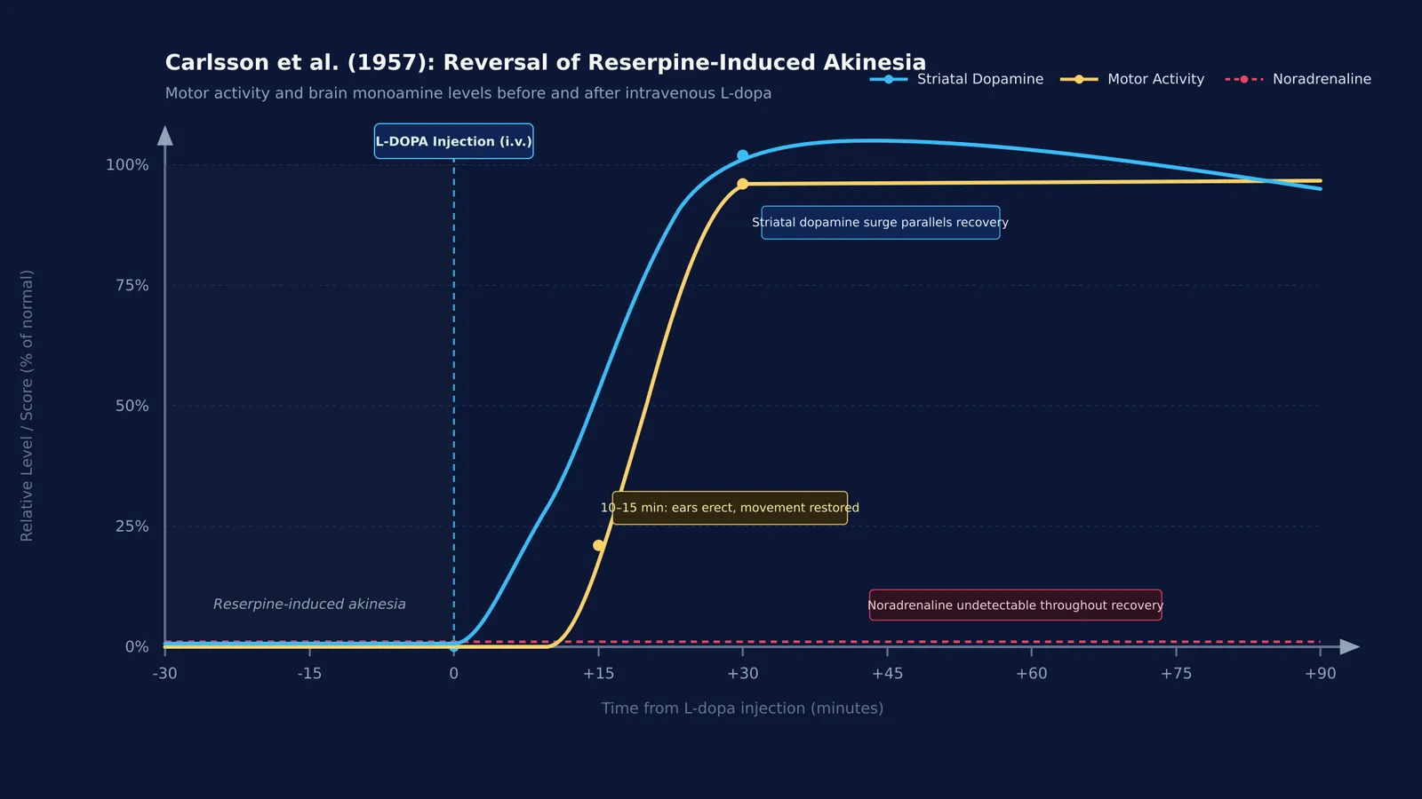 Line graph showing rabbit motor recovery and dopamine levels rising after L-dopa injection.