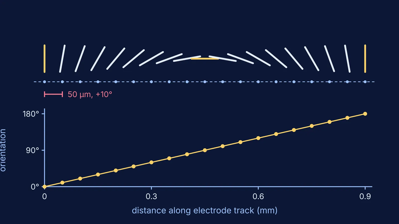 Line segments rotating 10 degrees per step along a cortex track, with a graph