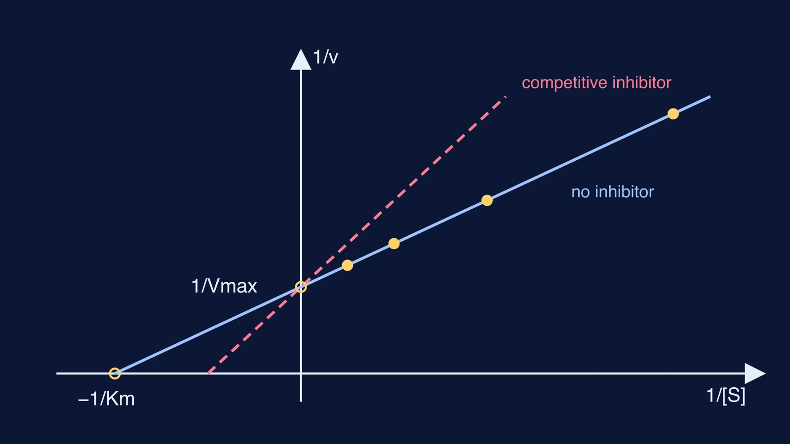Lineweaver–Burk plot: two straight lines of 1/v against 1/[S] meeting on the y-axis