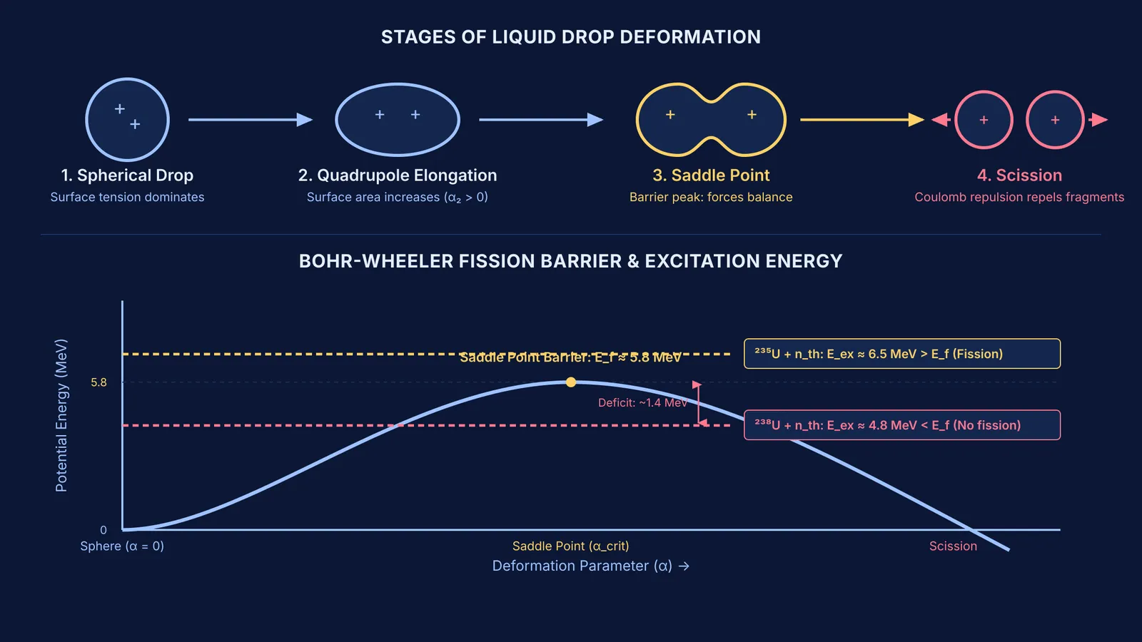 Liquid drop fission deformation stages and potential energy curve for uranium isotopes