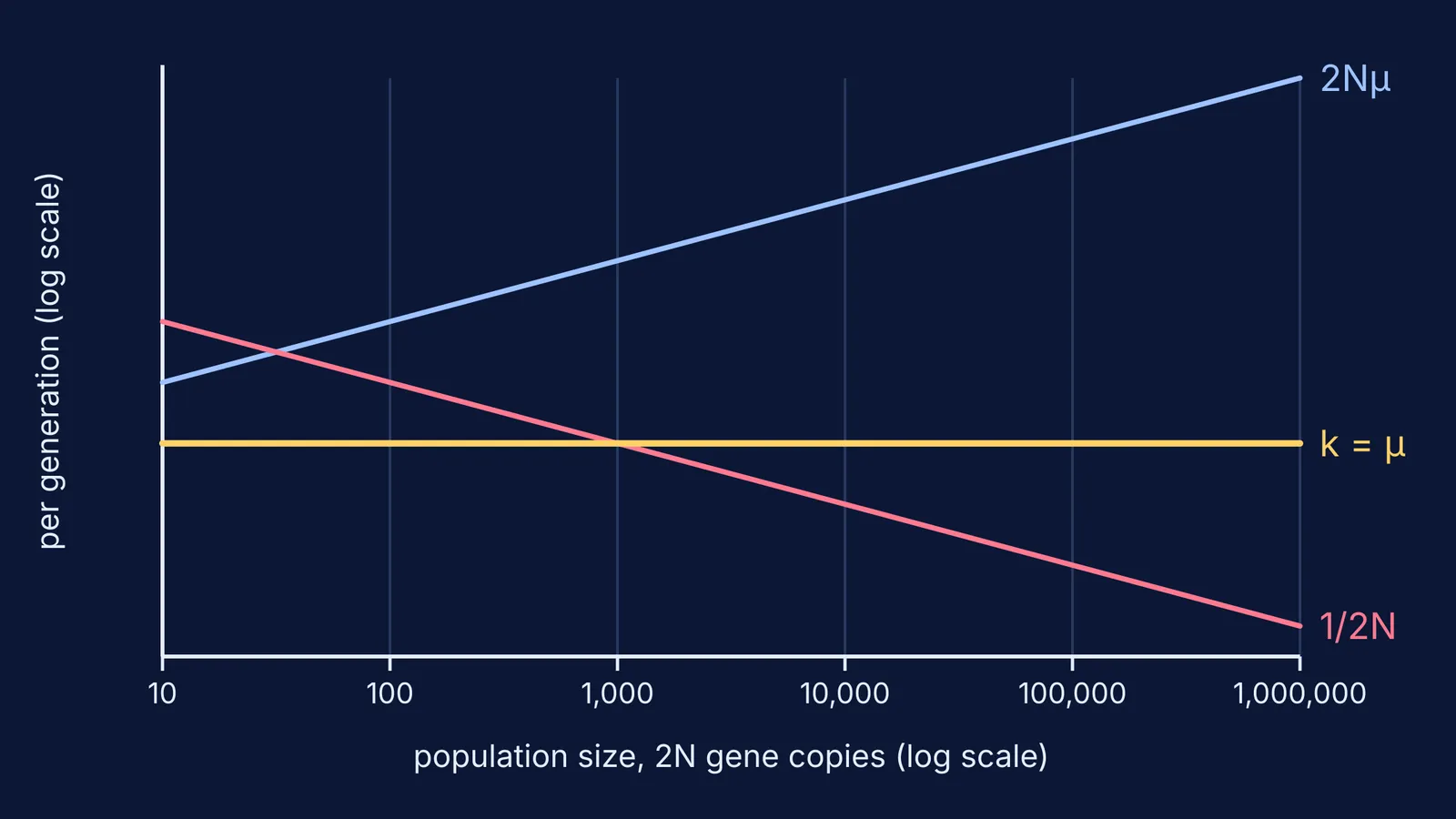 Log-log graph: mutation supply rises, fixation chance falls, substitution rate stays flat
