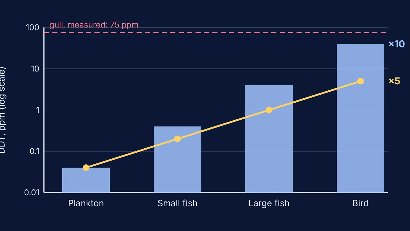 Log-scale chart of DDT rising at each food chain level toward 75 ppm
