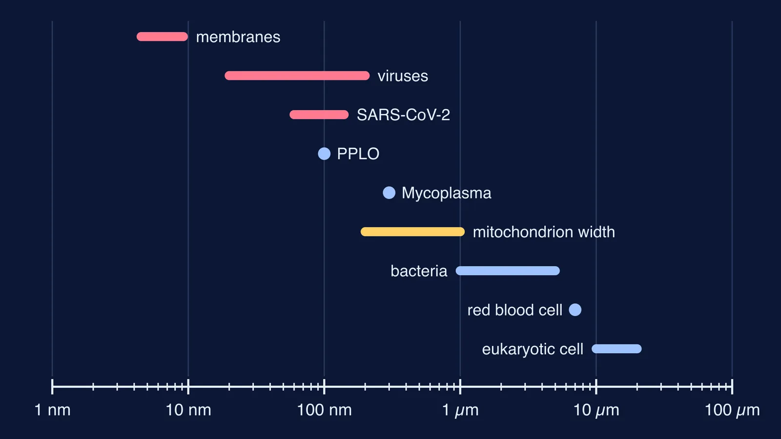 Log scale from 1 nm to 100 µm placing membranes, viruses, bacteria and cells