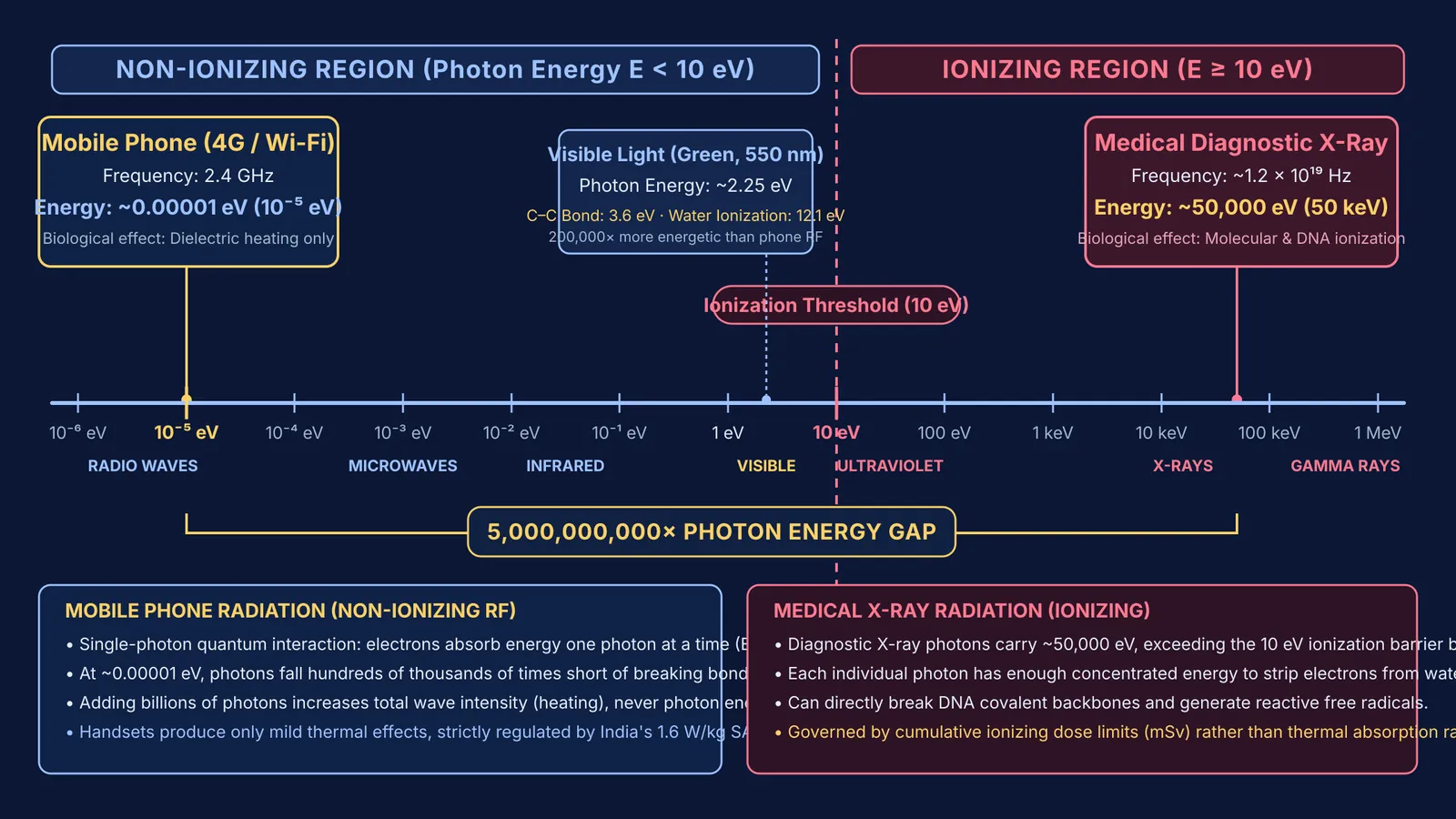 Logarithmic electromagnetic spectrum comparing mobile phone radio waves to ionizing medical X-rays