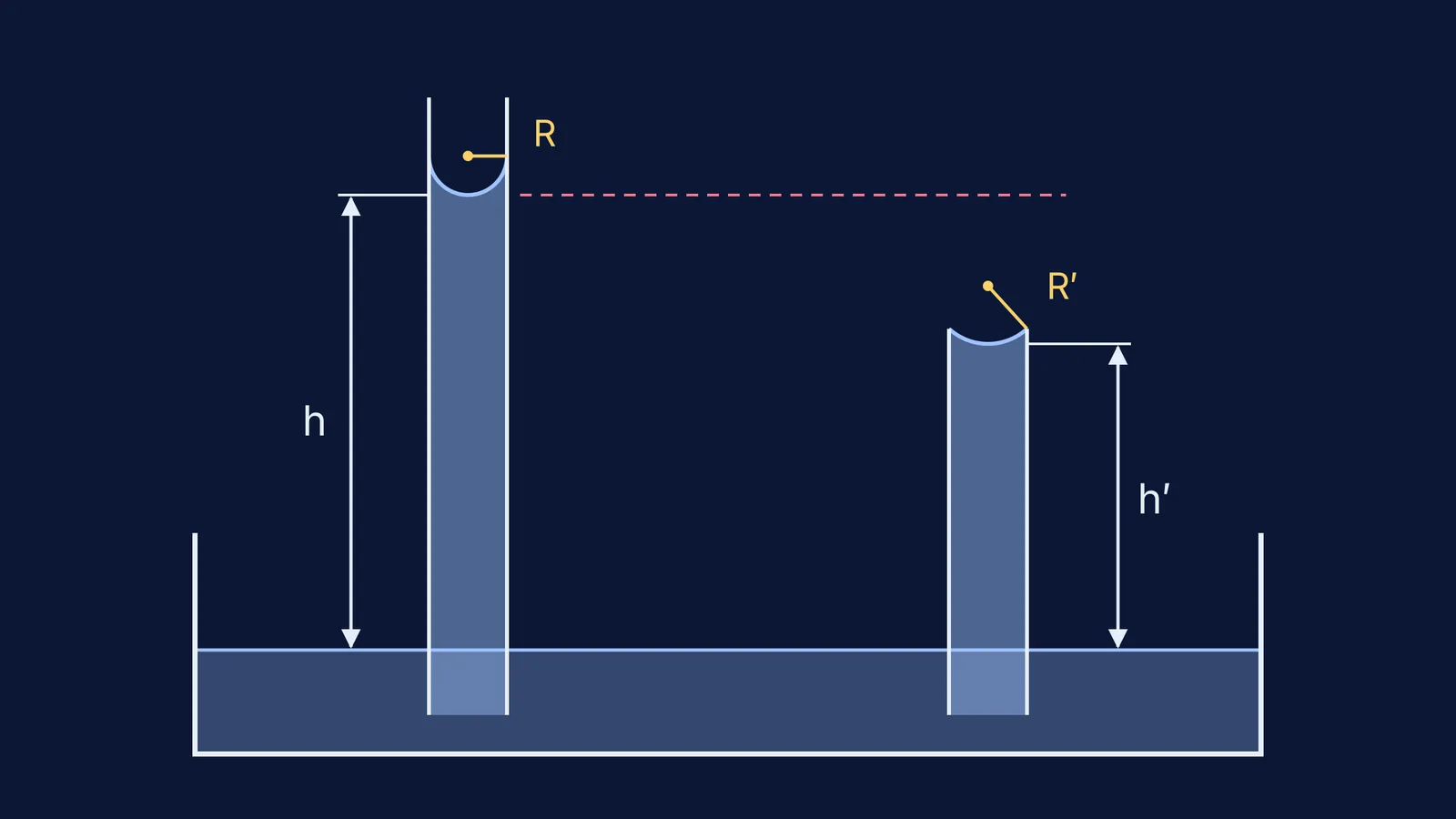 Long and short capillary tubes in water, the short one with a flatter meniscus