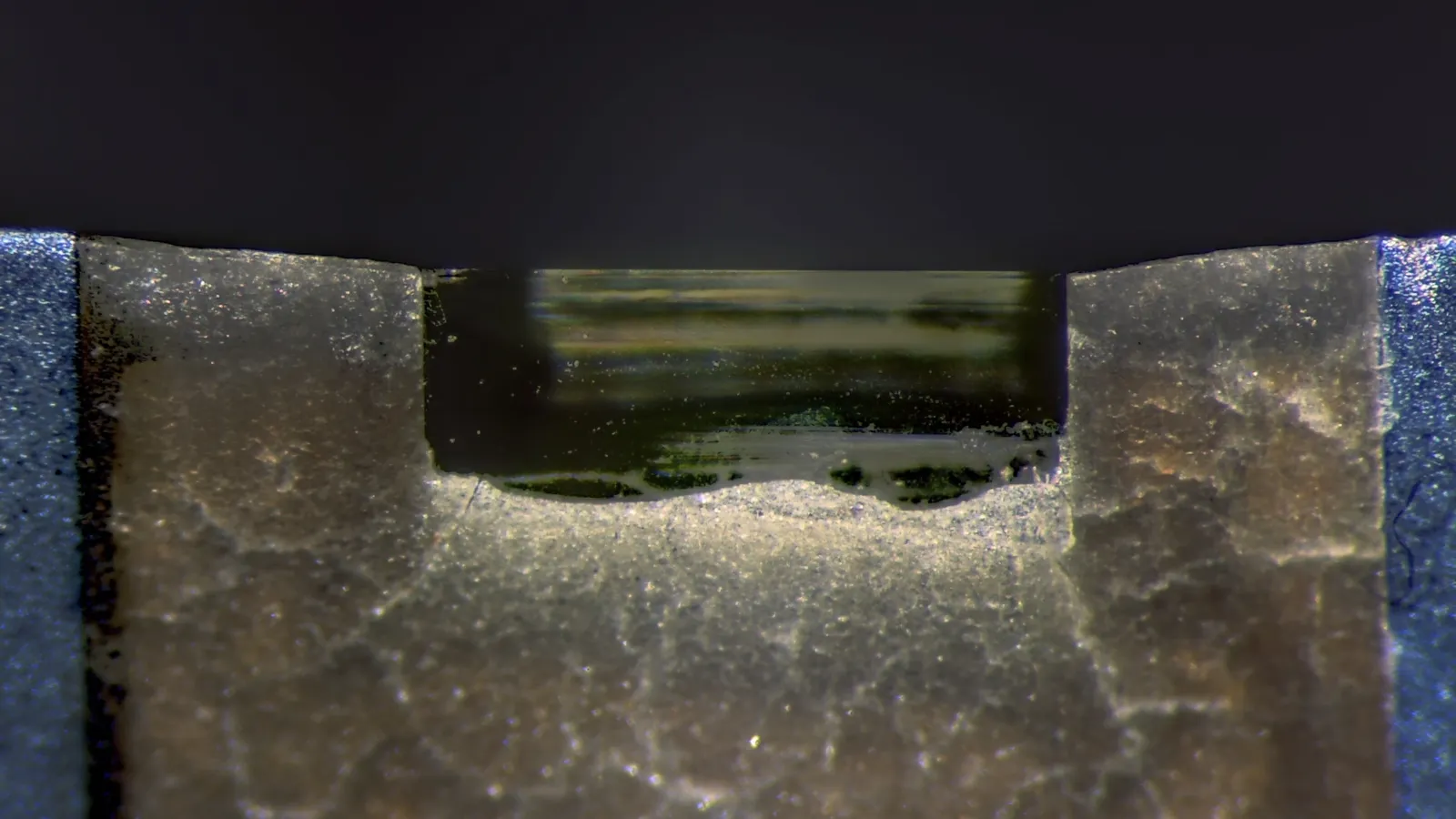 Magnified diamond knife blade edge set in its holder, with a 1 mm scale bar