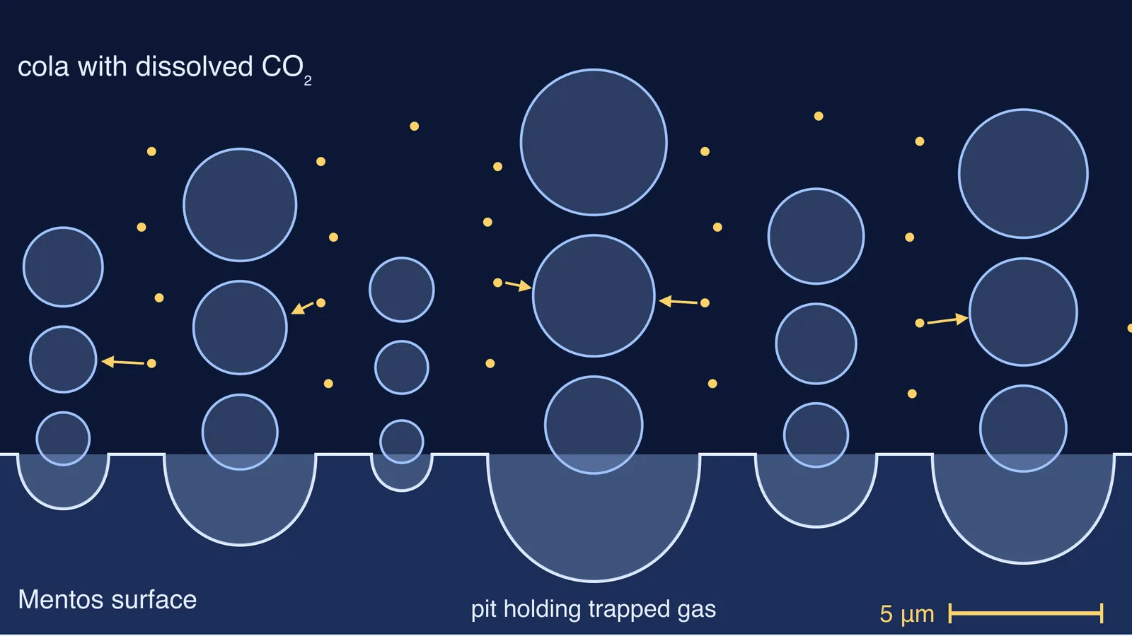 Magnified pitted candy surface with carbon dioxide bubbles growing from each pit