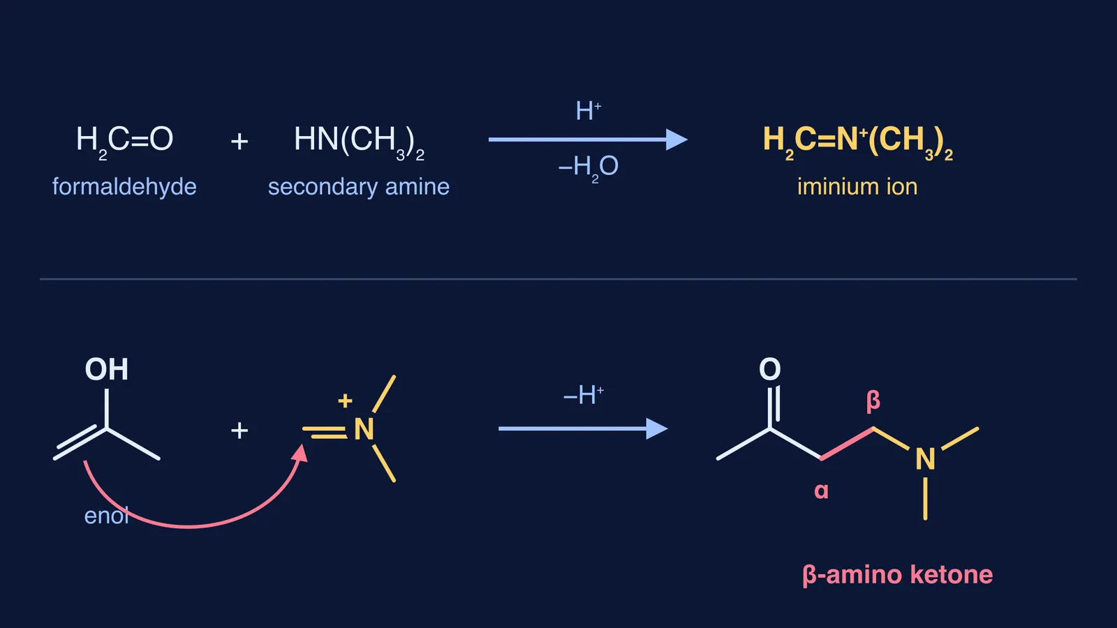 Mannich mechanism: iminium ion forms, enol attacks it, giving a β-amino ketone