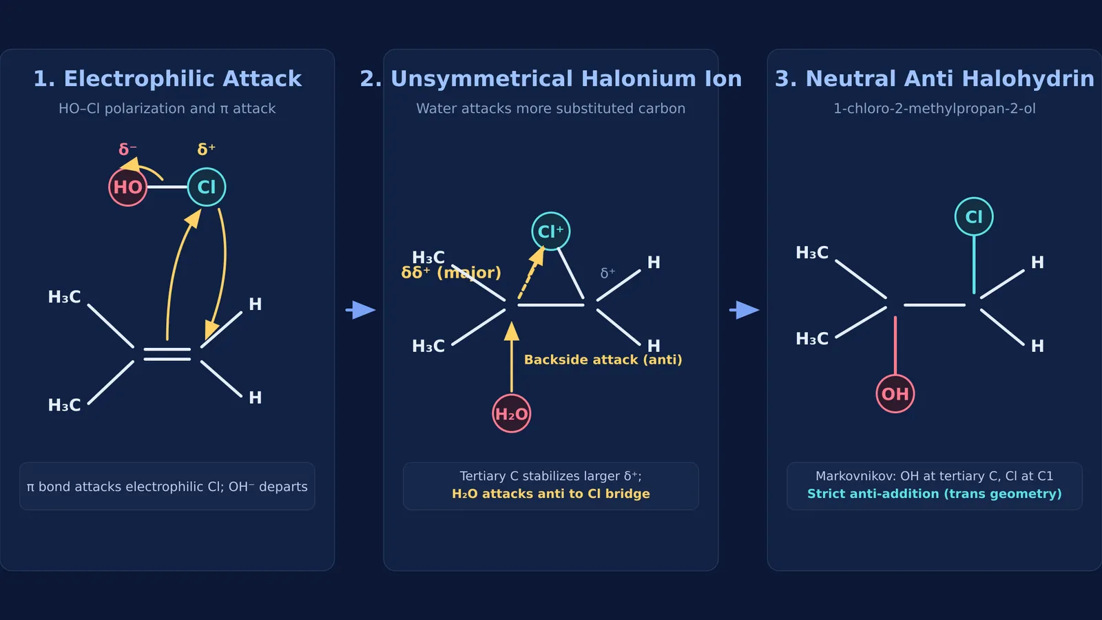 Mechanism of halohydrin formation showing cyclic chloronium ion and anti attack by water