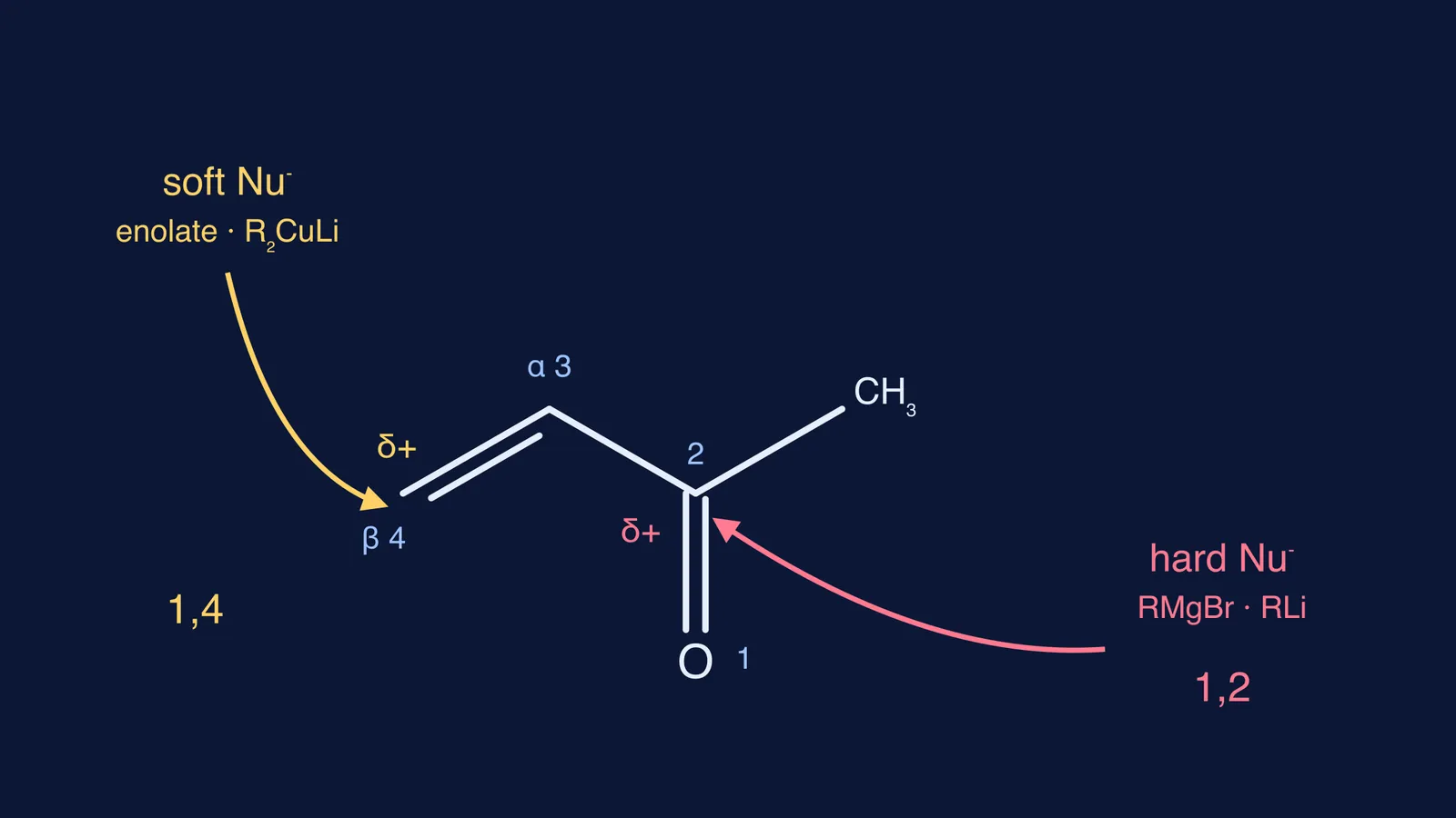 Methyl vinyl ketone skeleton: soft nucleophile attacks beta carbon, hard nucleophile attacks carbonyl carbon