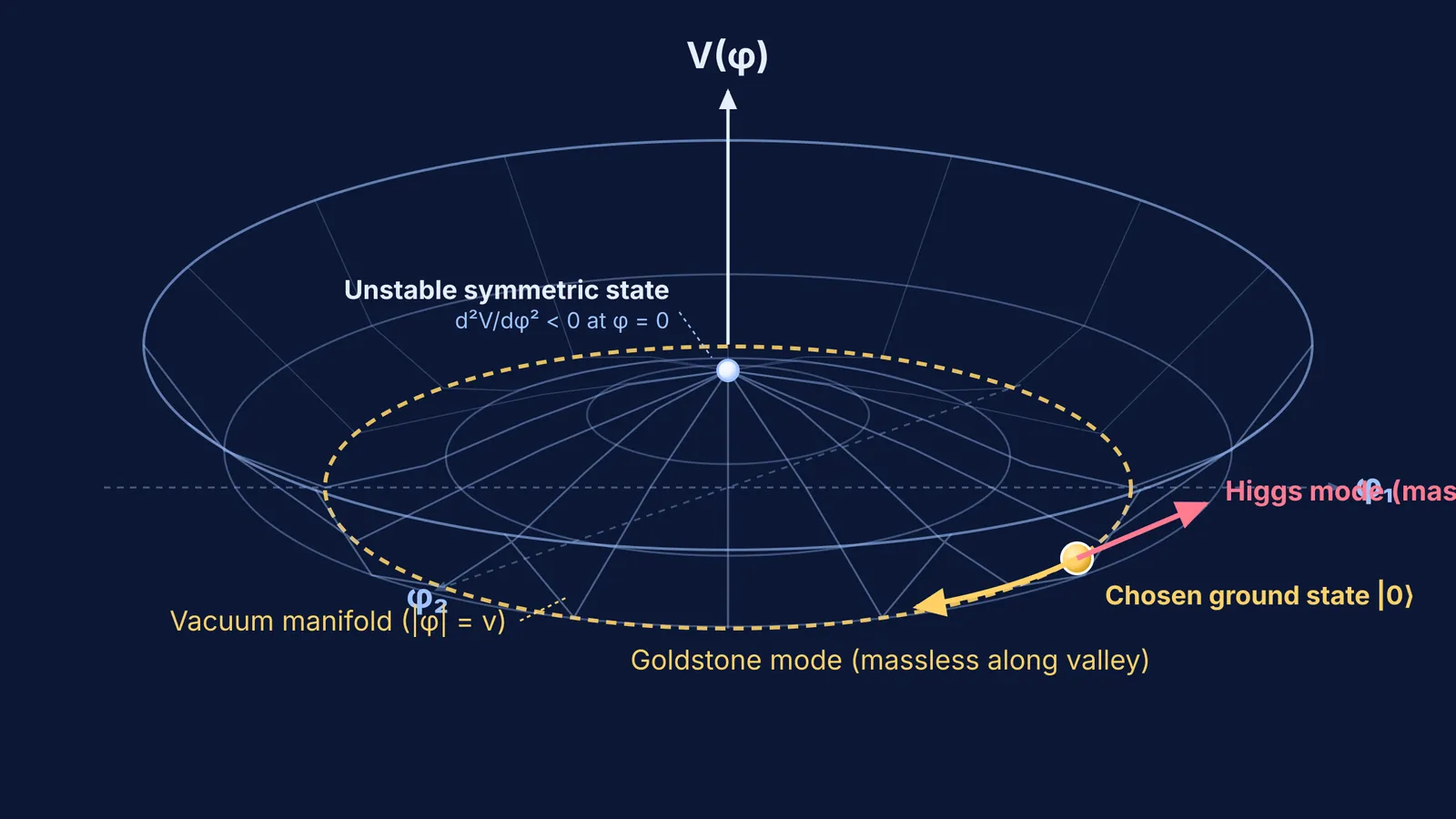Mexican hat potential diagram illustrating spontaneous symmetry breaking and the Higgs mechanism