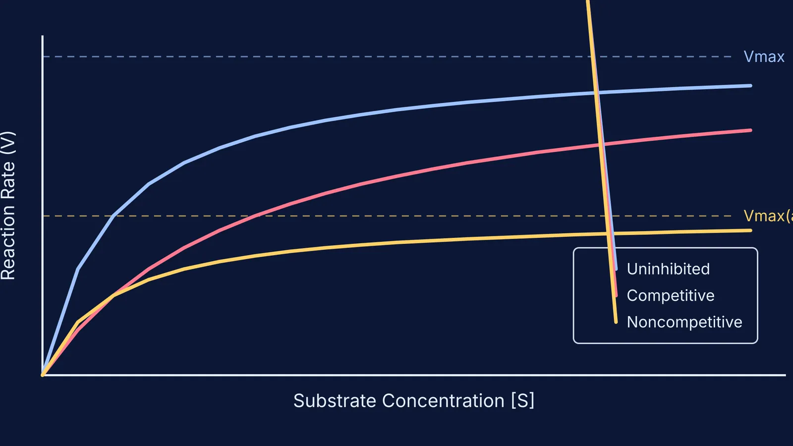 Michaelis-Menten plot showing uninhibited, competitive, and noncompetitive inhibition curves
